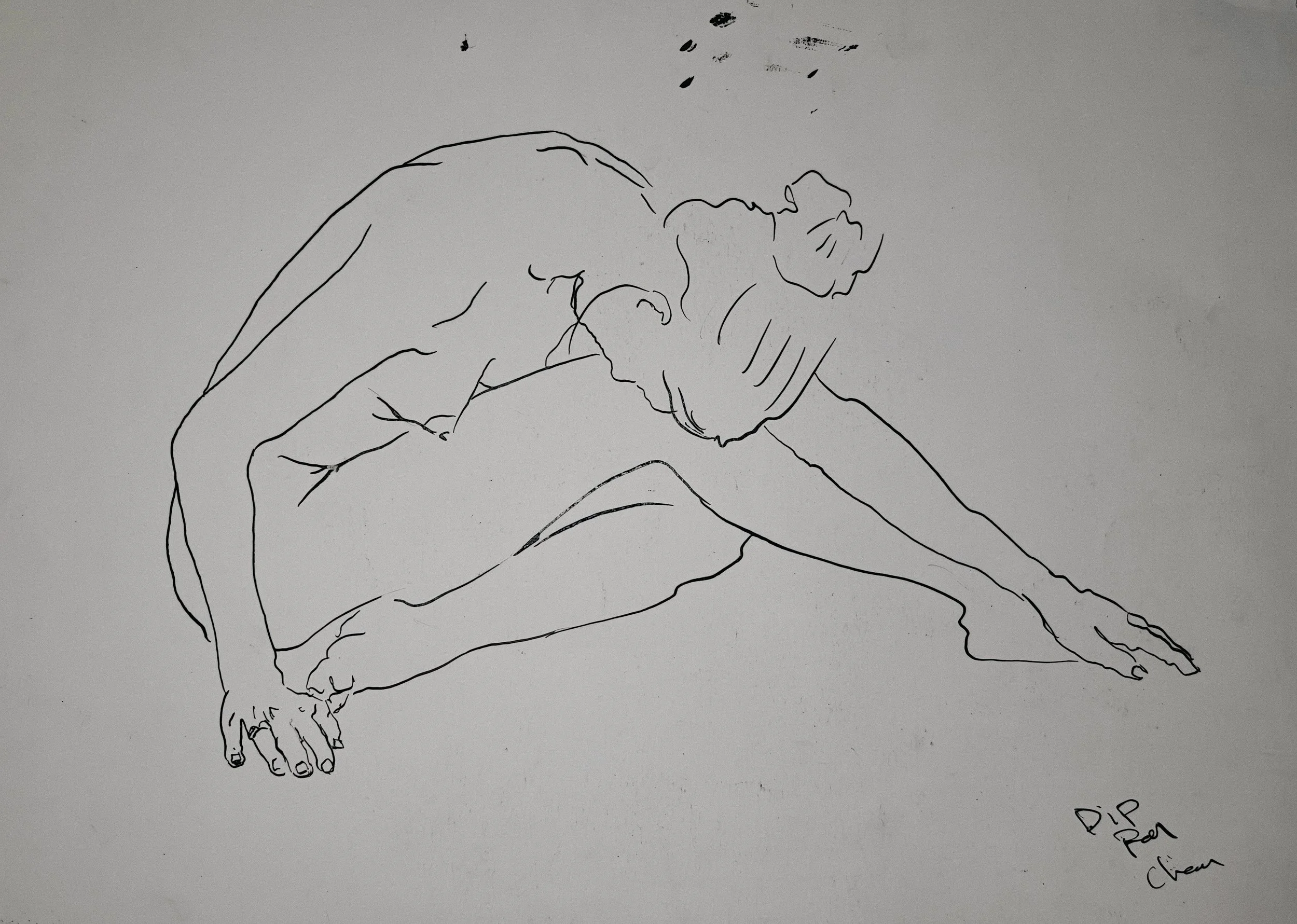 Artwork by Shaun Bell - Observed Structure – Life Drawing & Anatomy Studies