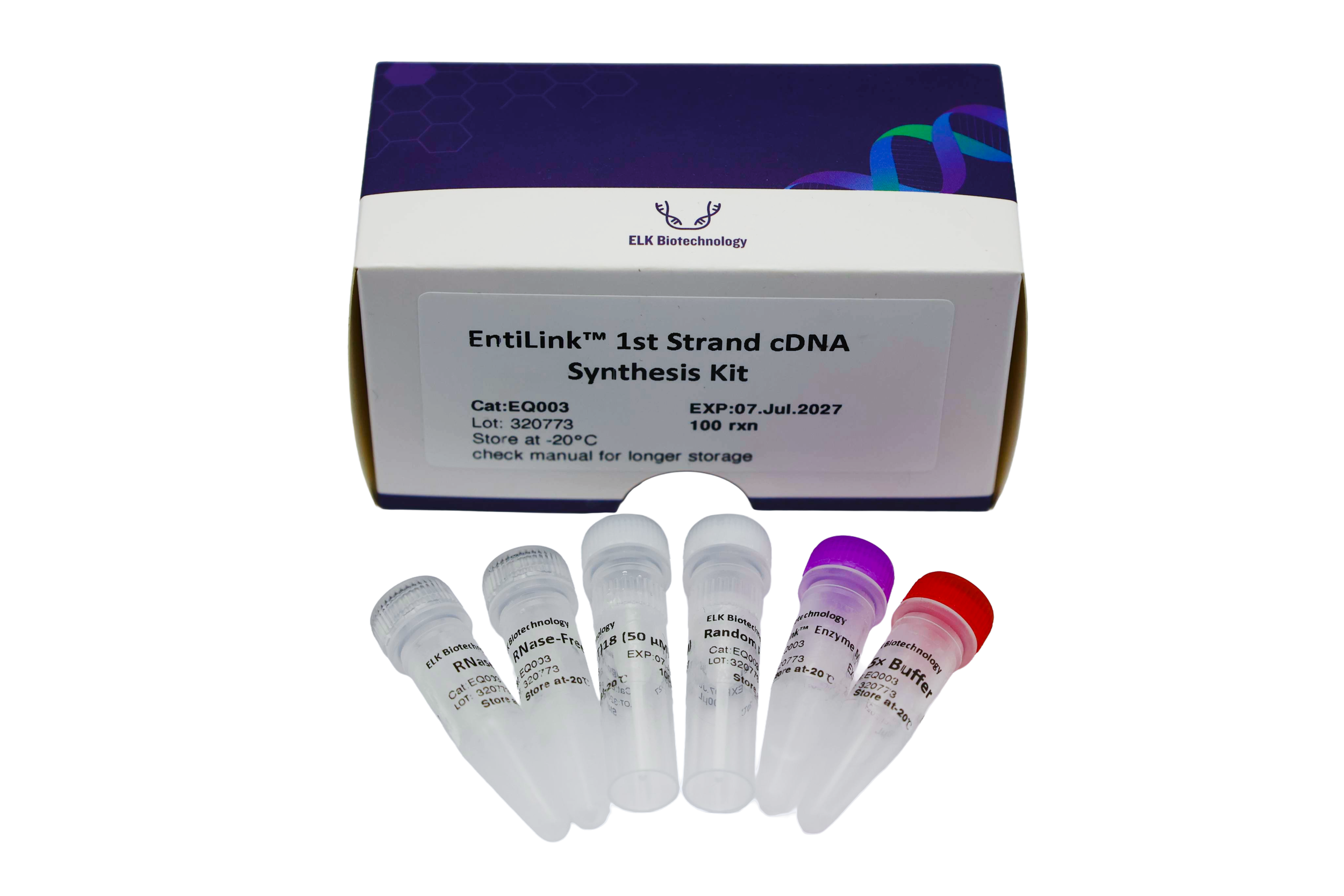 EntiLink™ 1st Strand cDNA Synthesis Kit