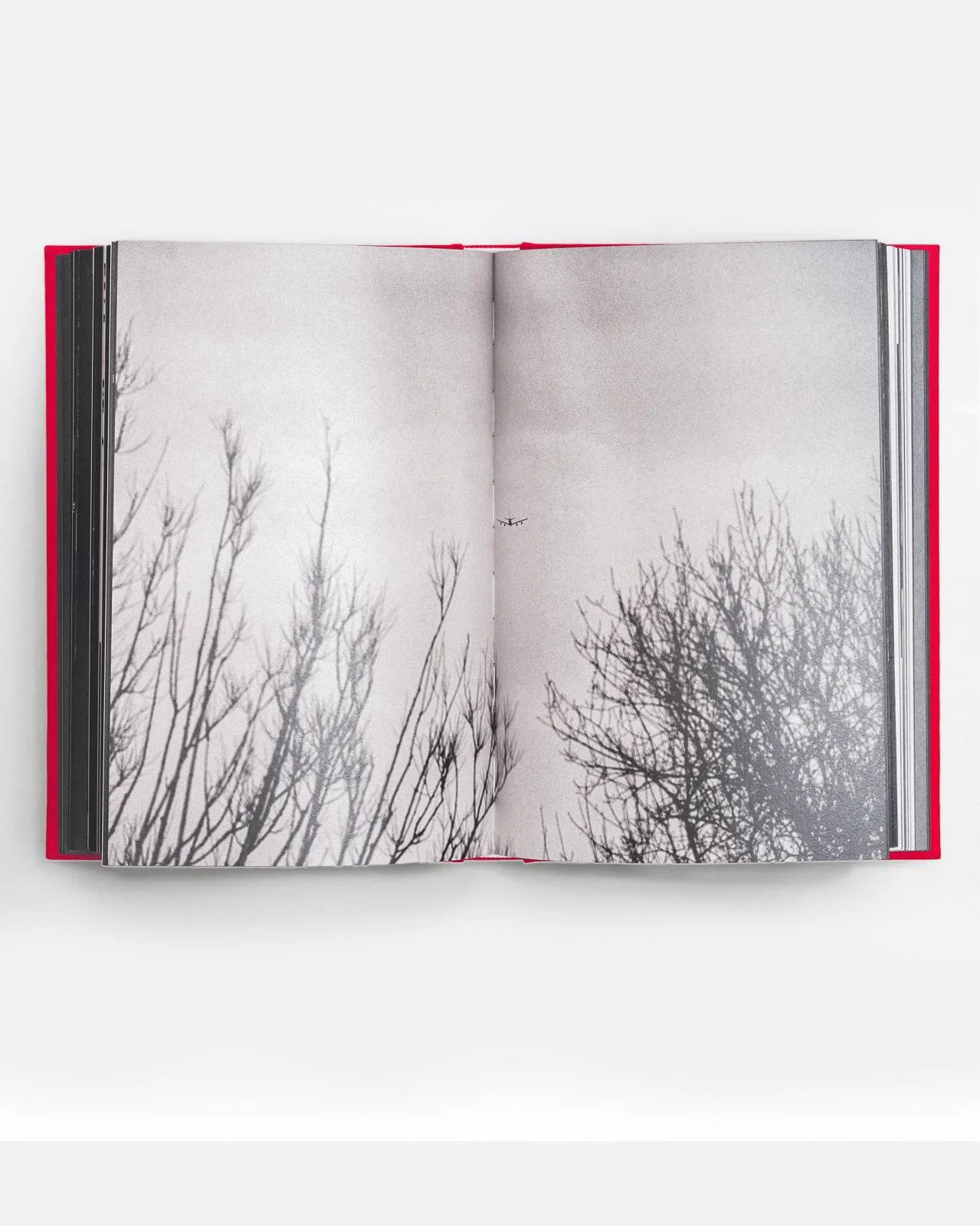 Open photo book showing a black and white picture of leafless trees and a small airplane flying in the sky.