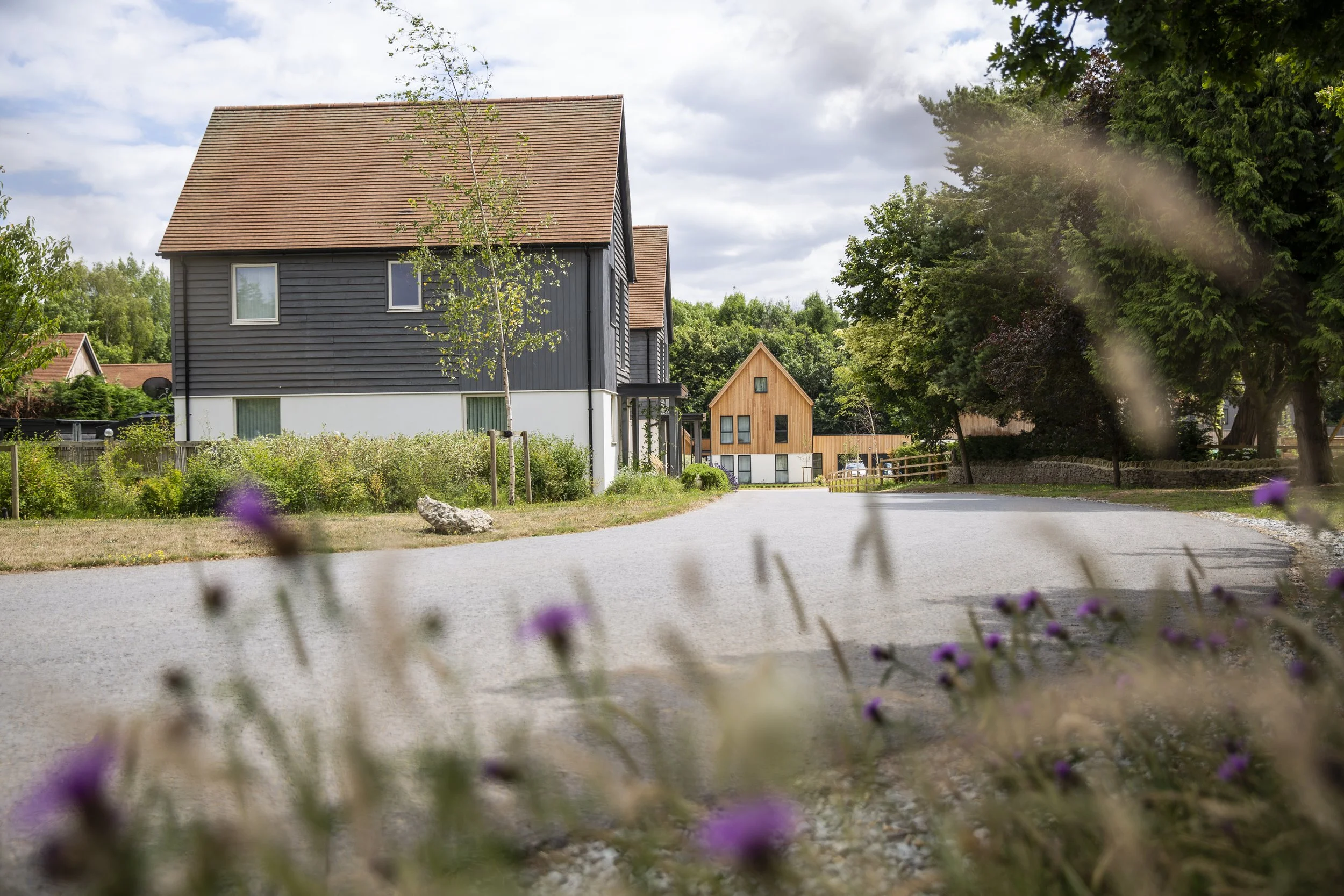 SPRINGFIELD MEADOWS-20.jpg