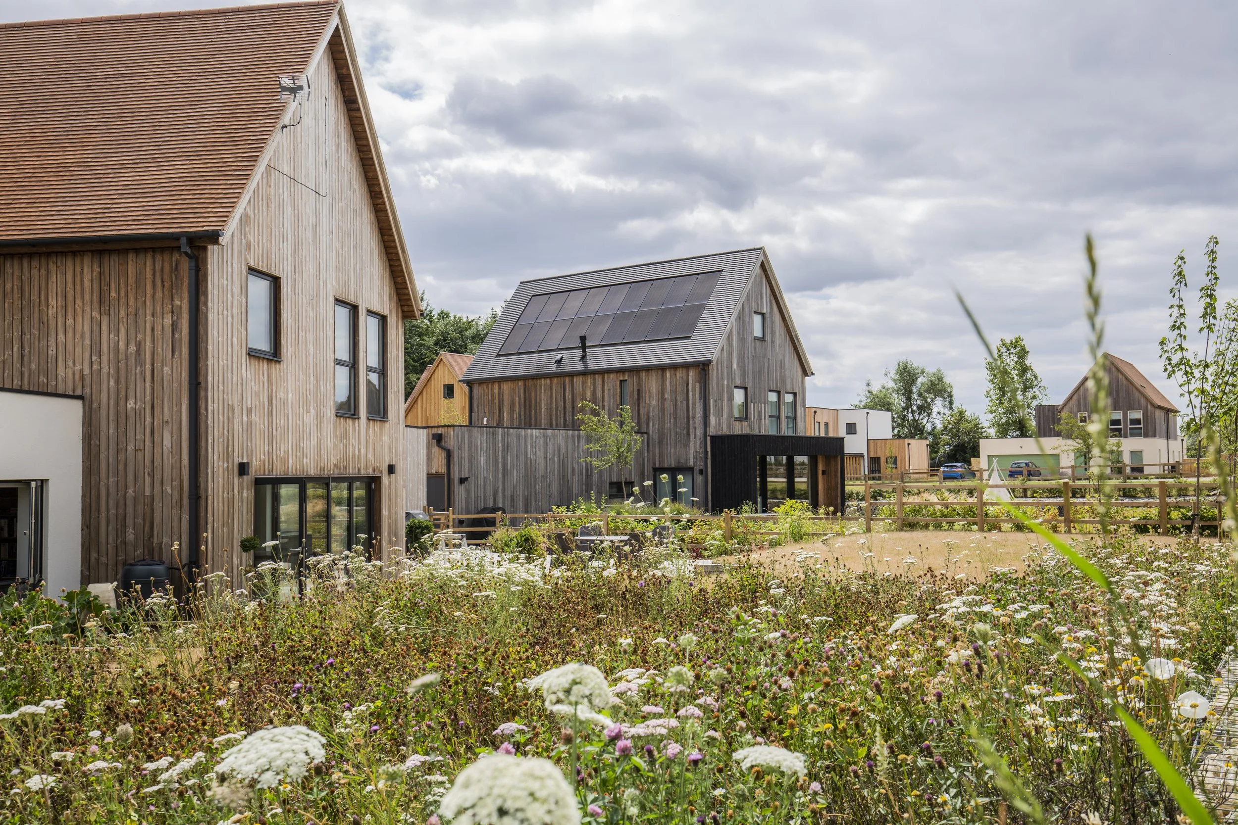 SPRINGFIELD MEADOWS-1.jpg