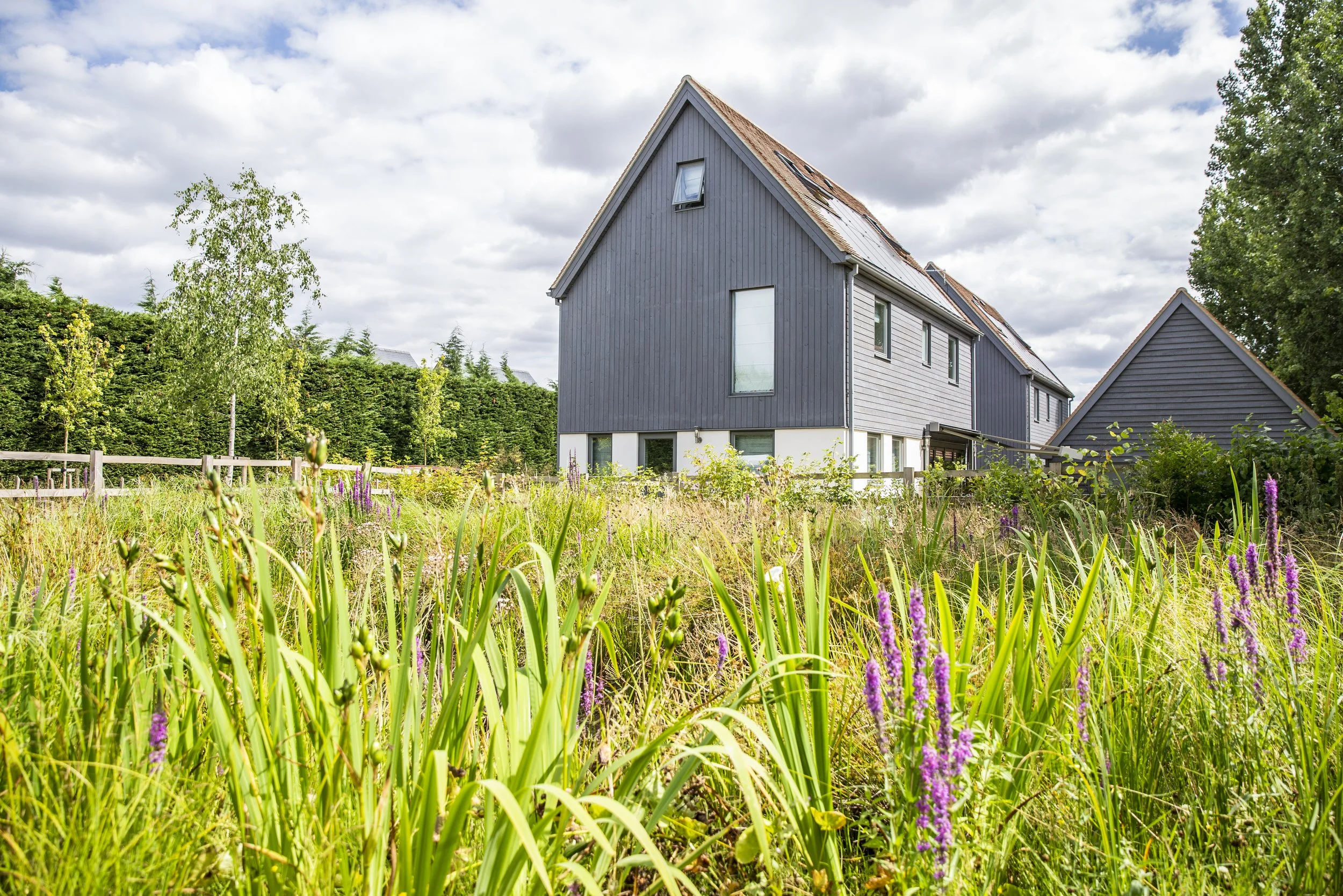 SPRINGFIELD MEADOWS-31.jpg