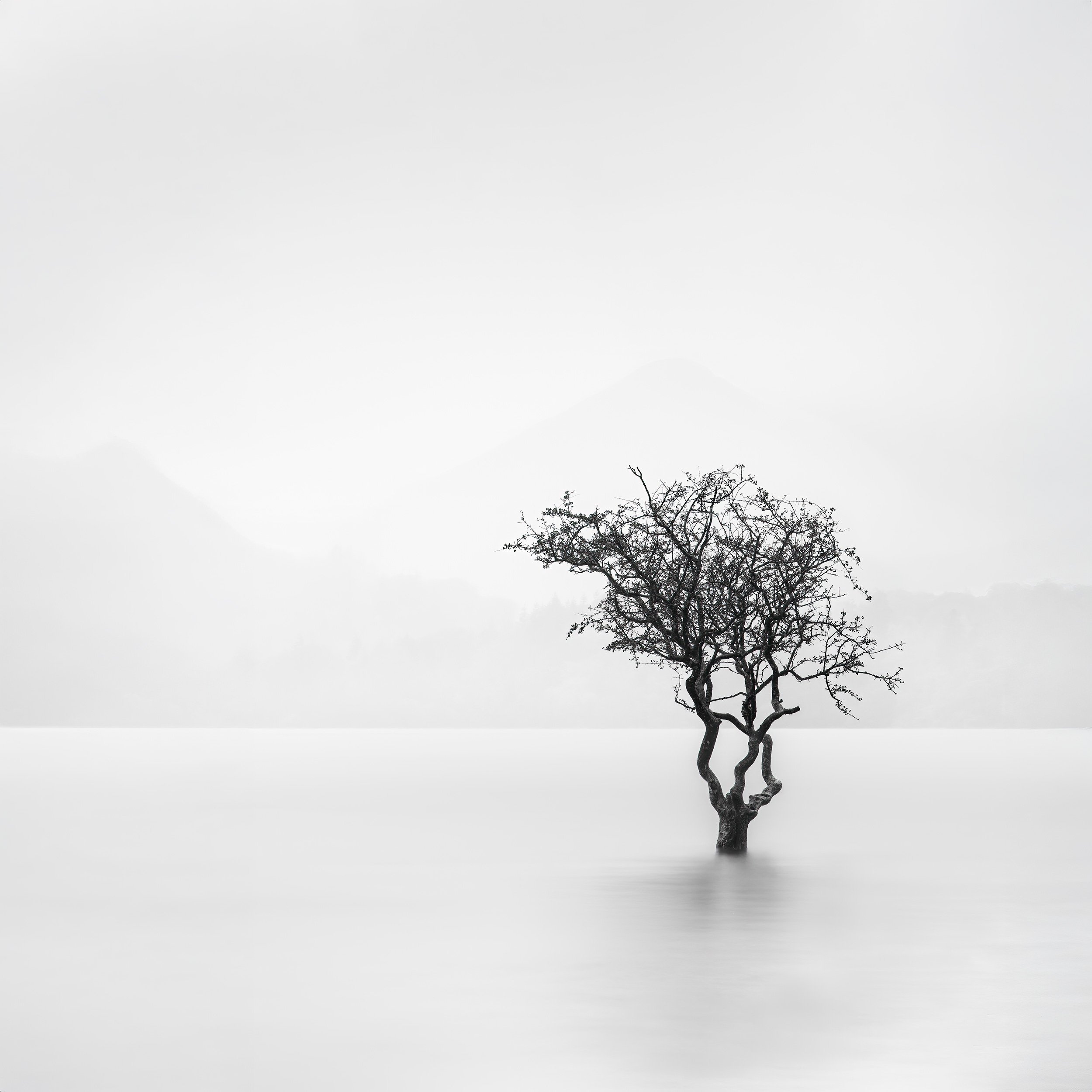 Monochrome