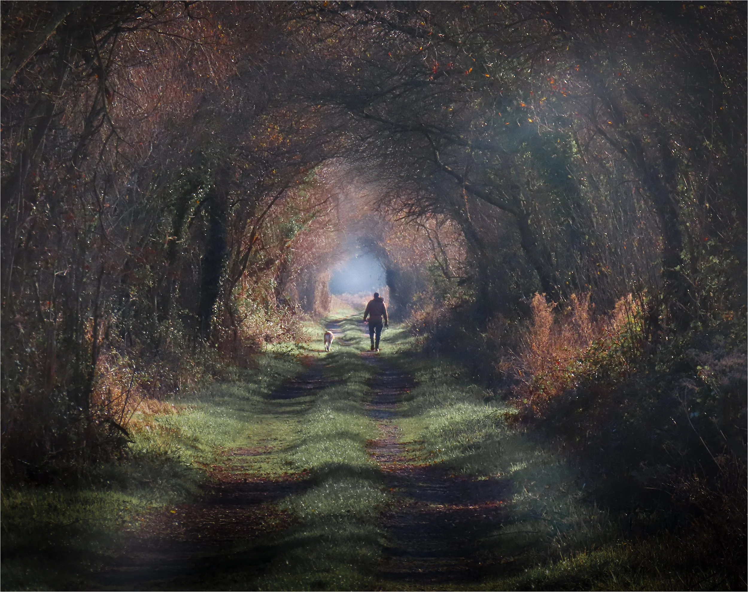 Into The Light