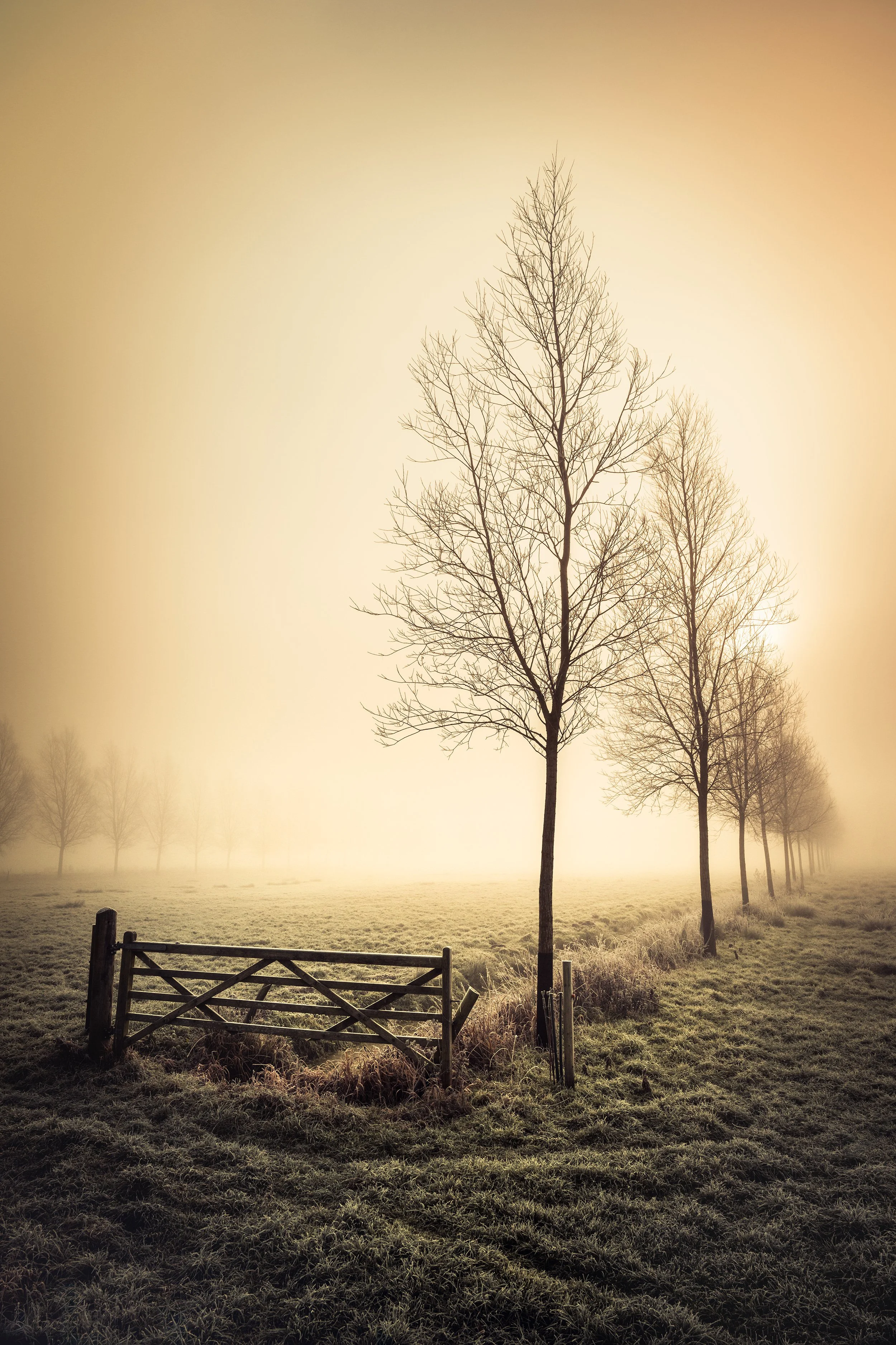 Gateway To The Moor