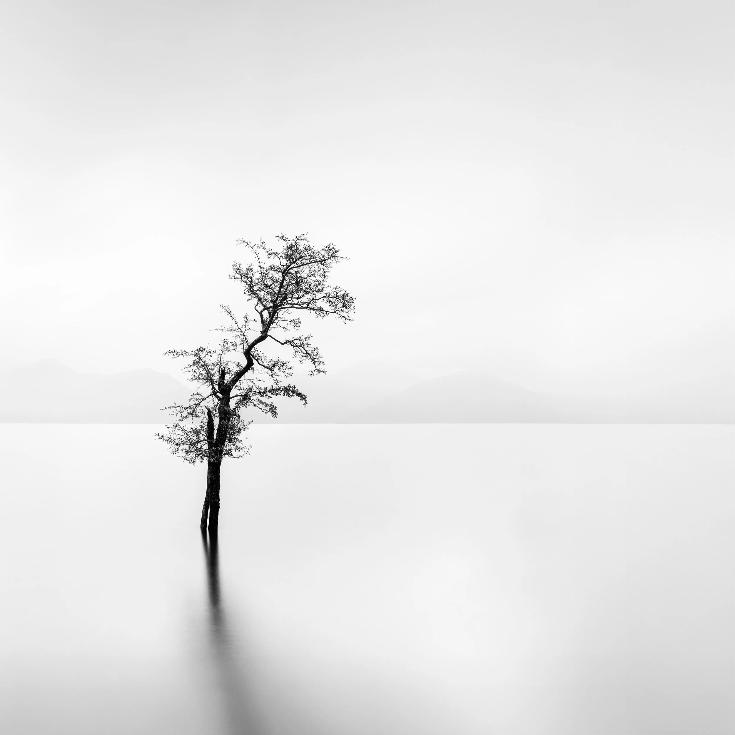 Alone