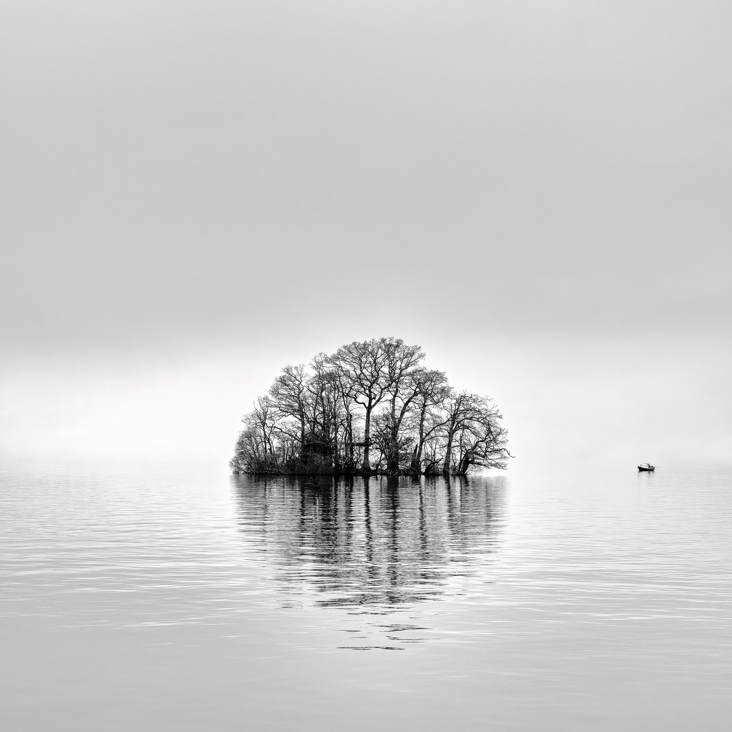 The Island