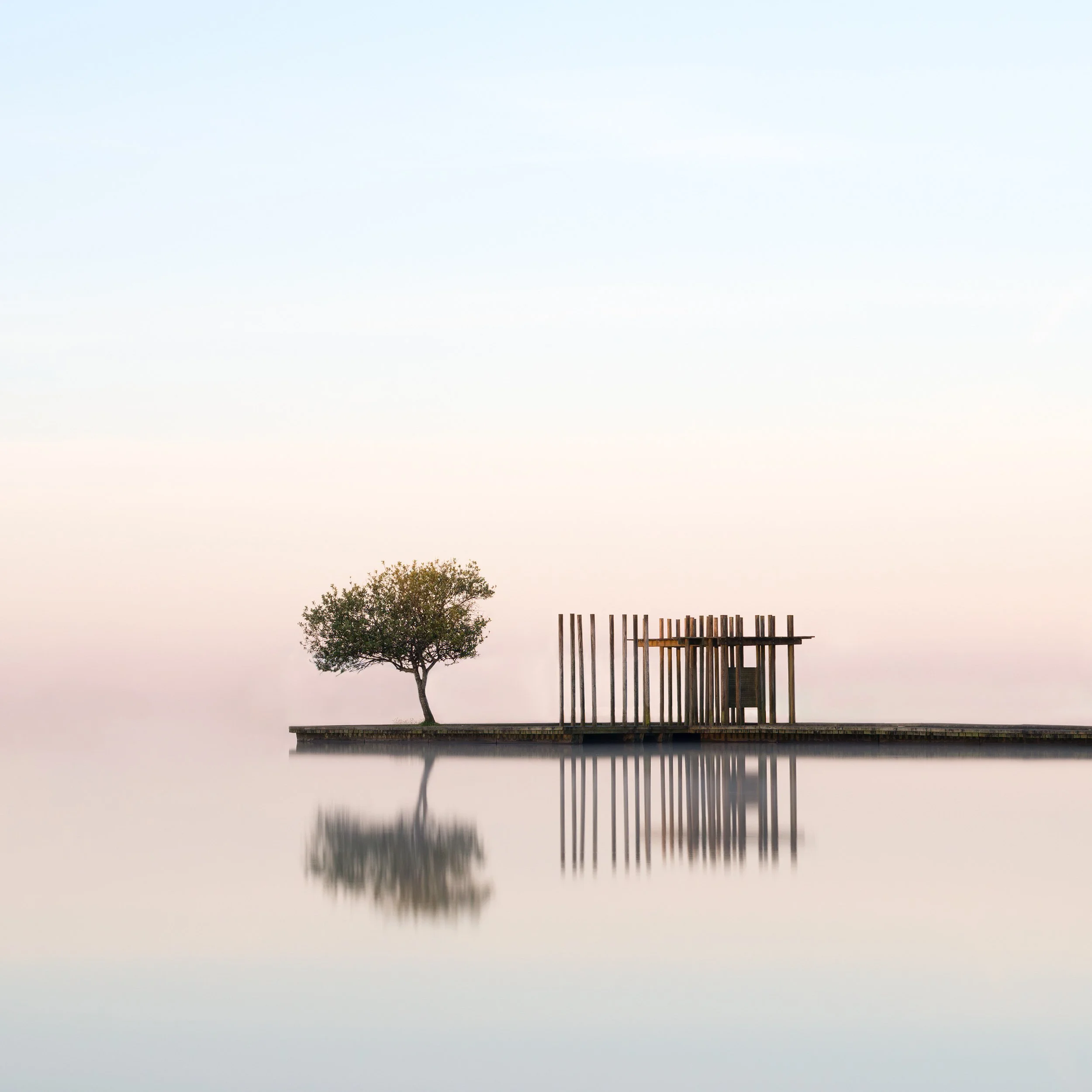 As The Mist Clears