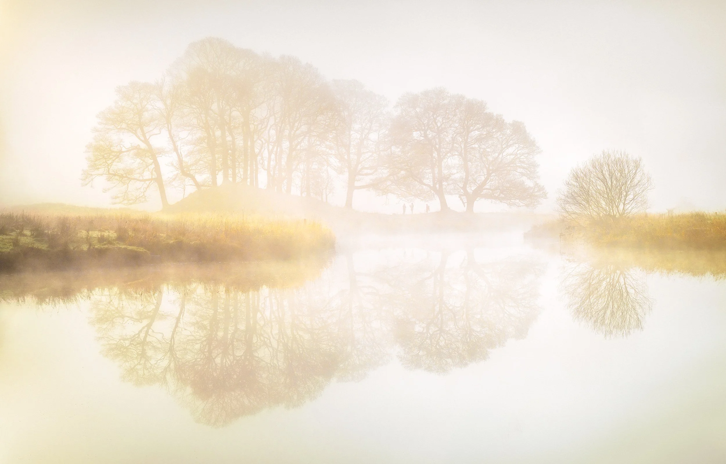 Misty Morning Walk