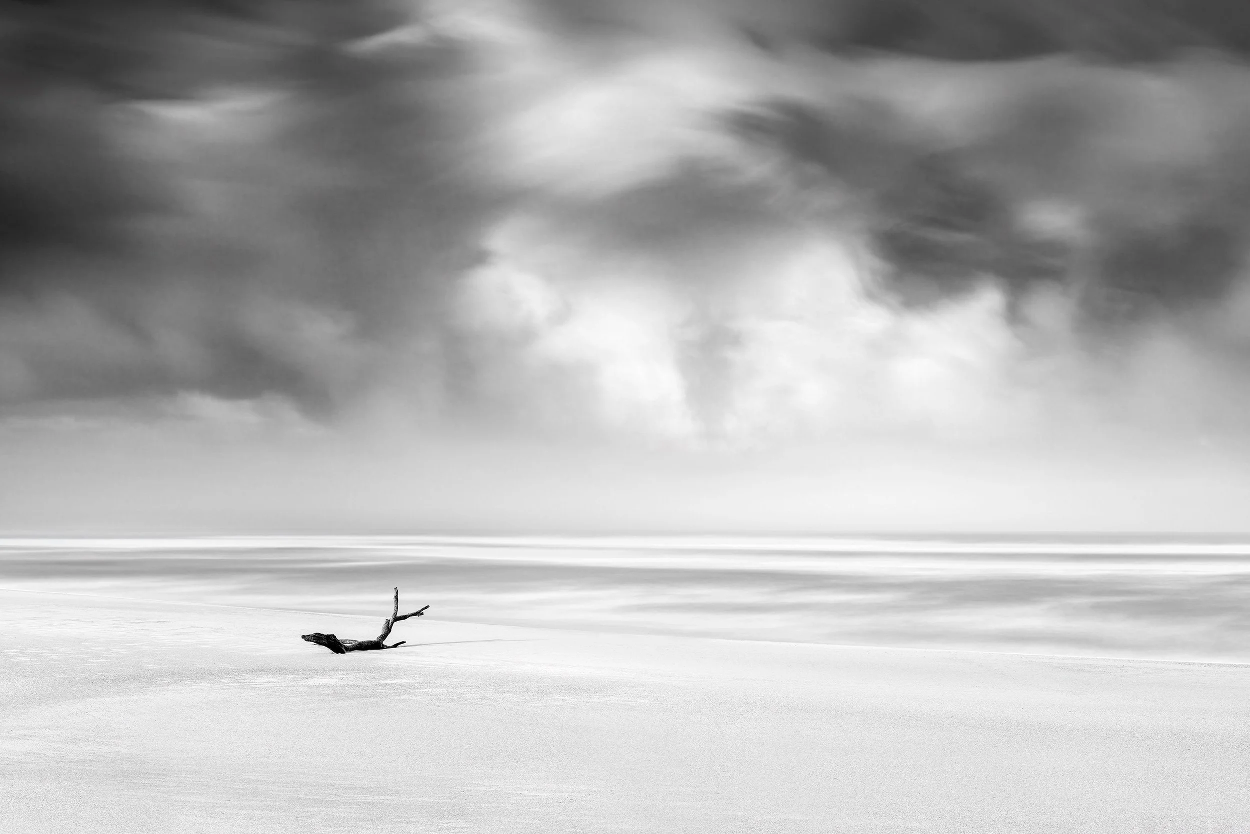 Driftwood