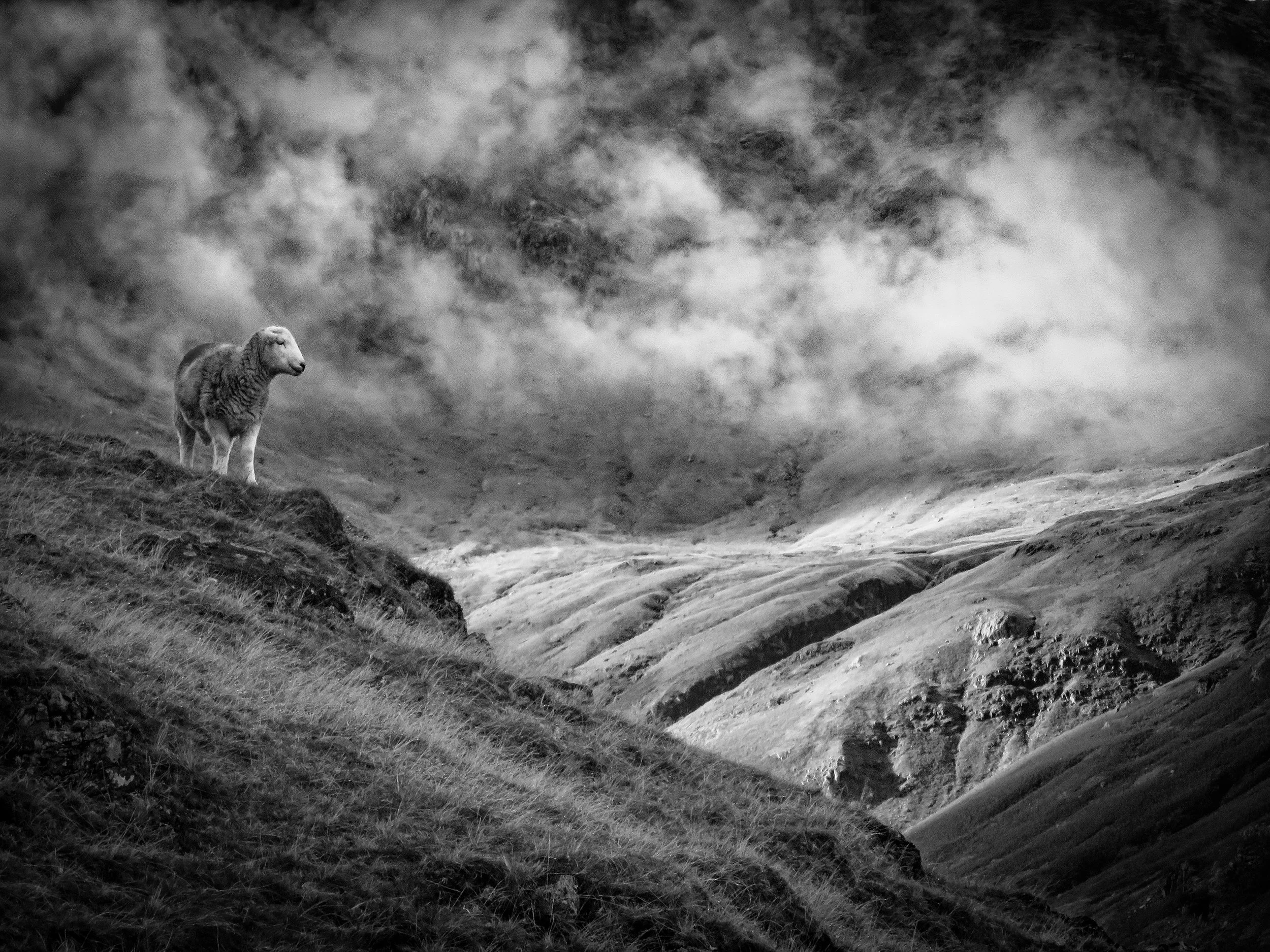 Langdale Fell
