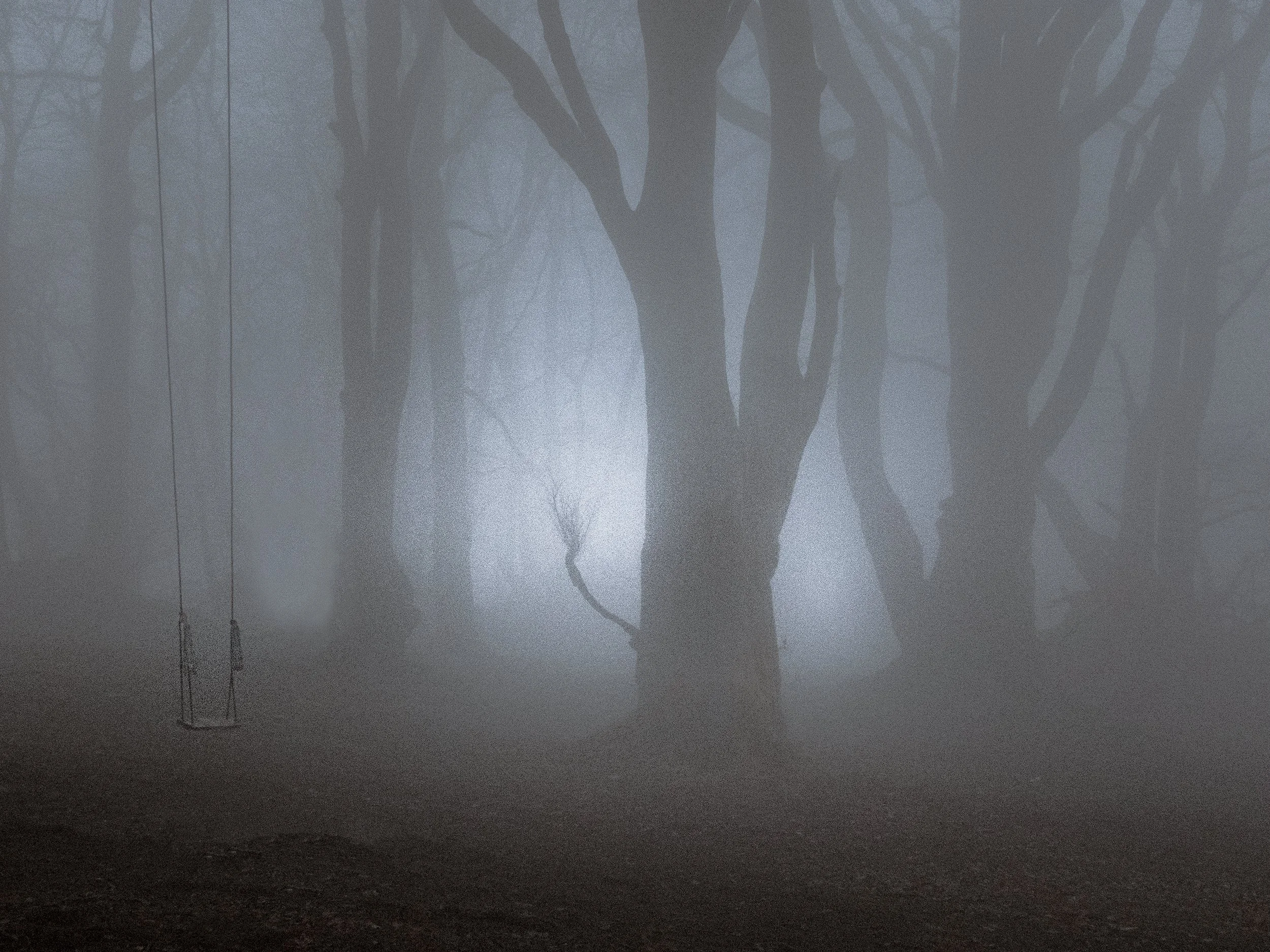 If You Go Down To The Woods Today