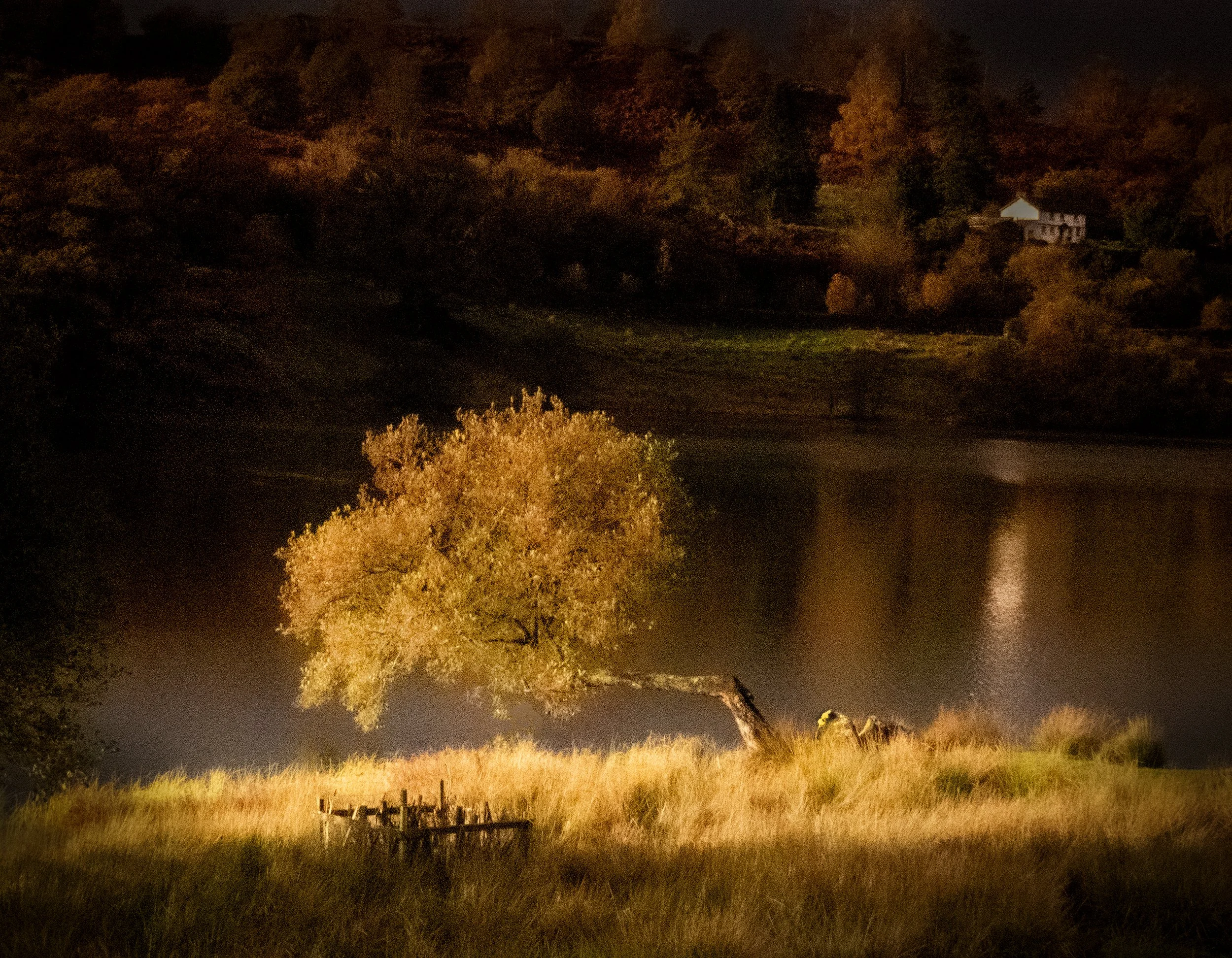 Loughrigg Tarn