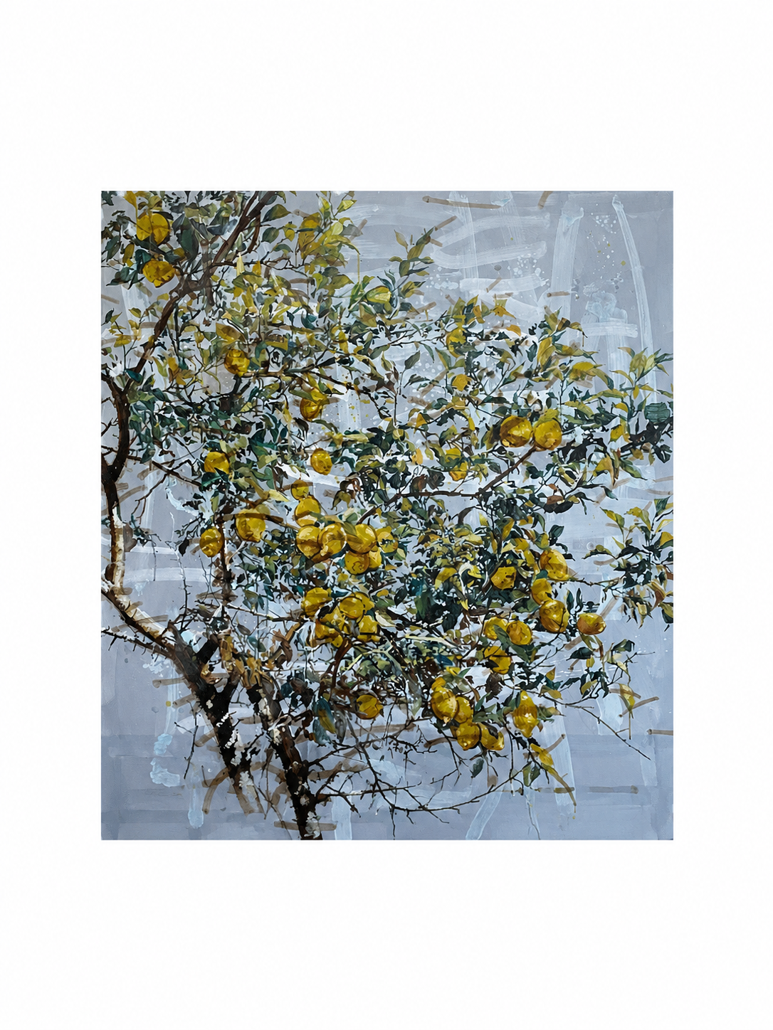 Soller - Ilya Gaponov