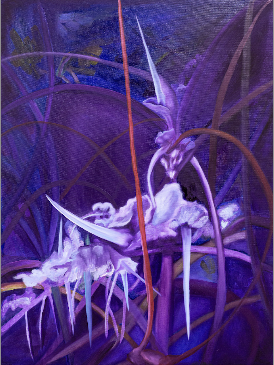 Uma Certa Aurora - Amanda Lutiere