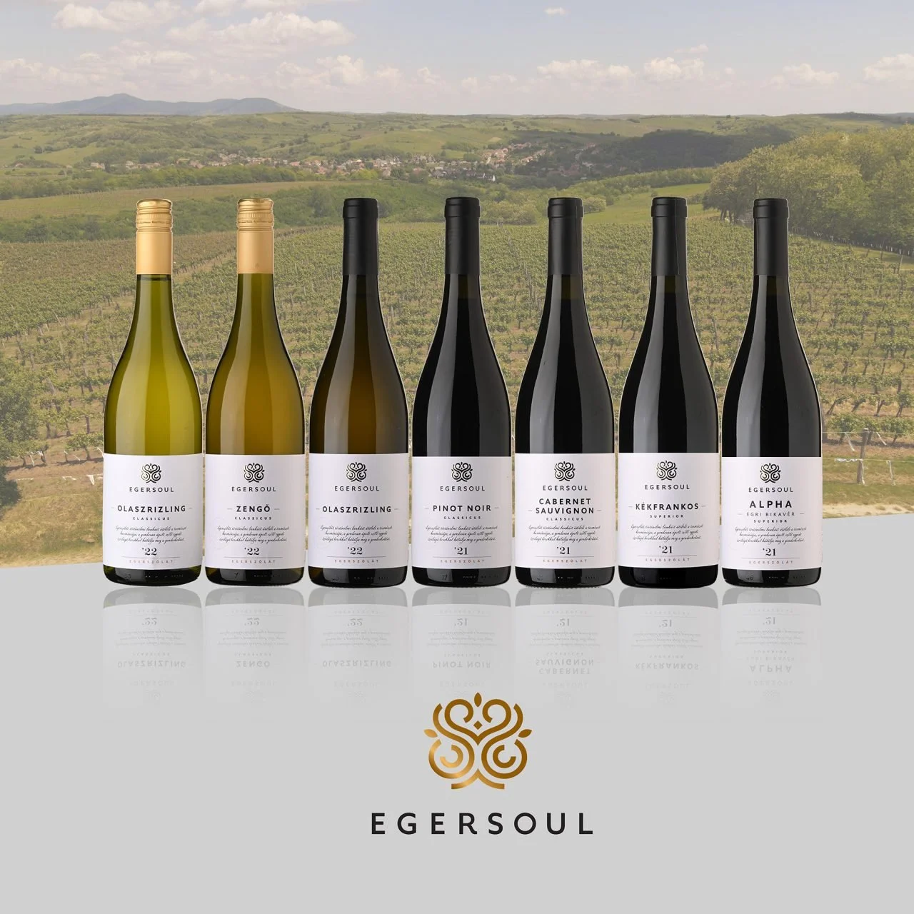 EGERSOUL wine bottles with the Egerszólát vineyards behind them