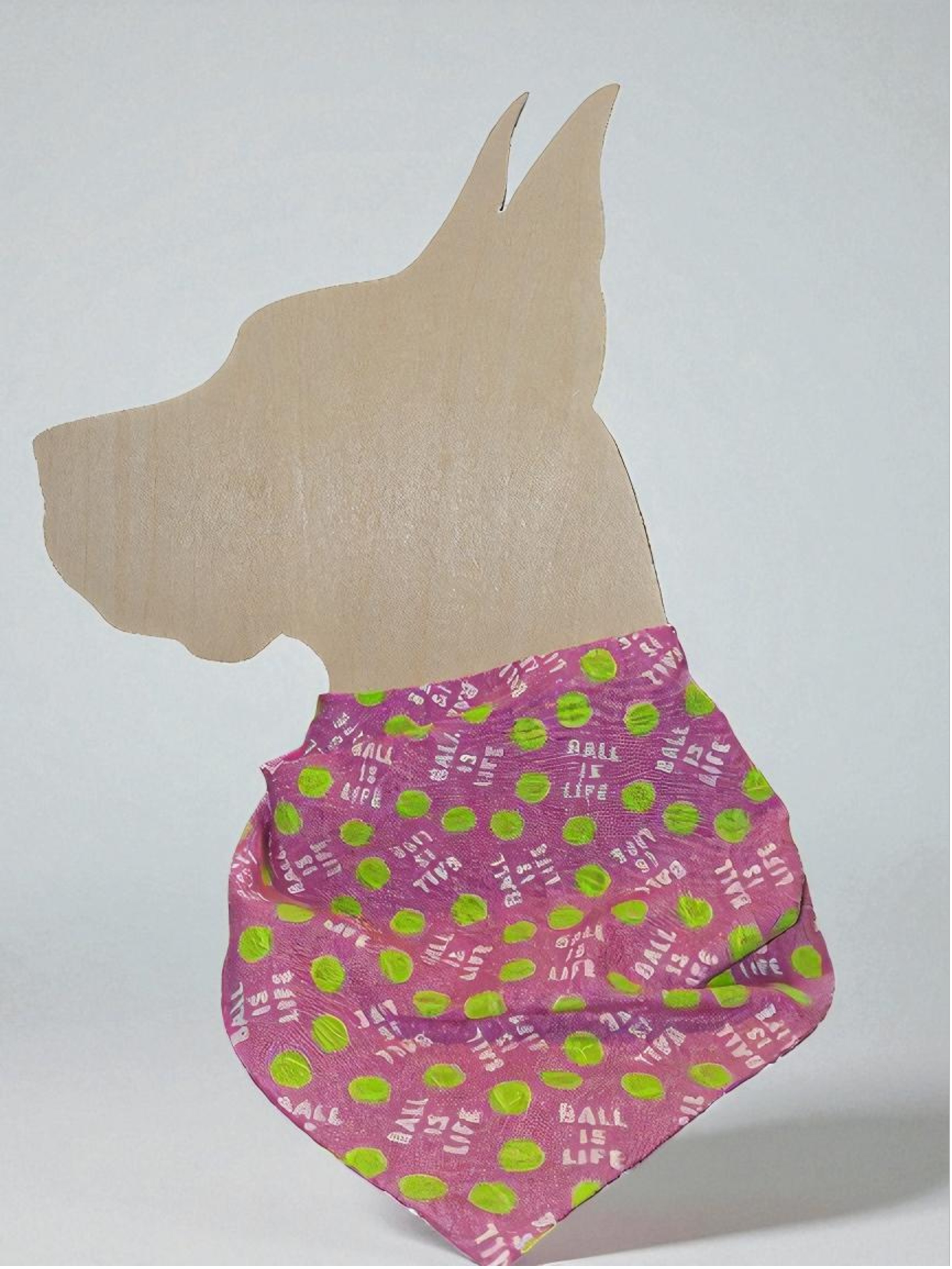 Ball Is Life Display-Photoroom.png