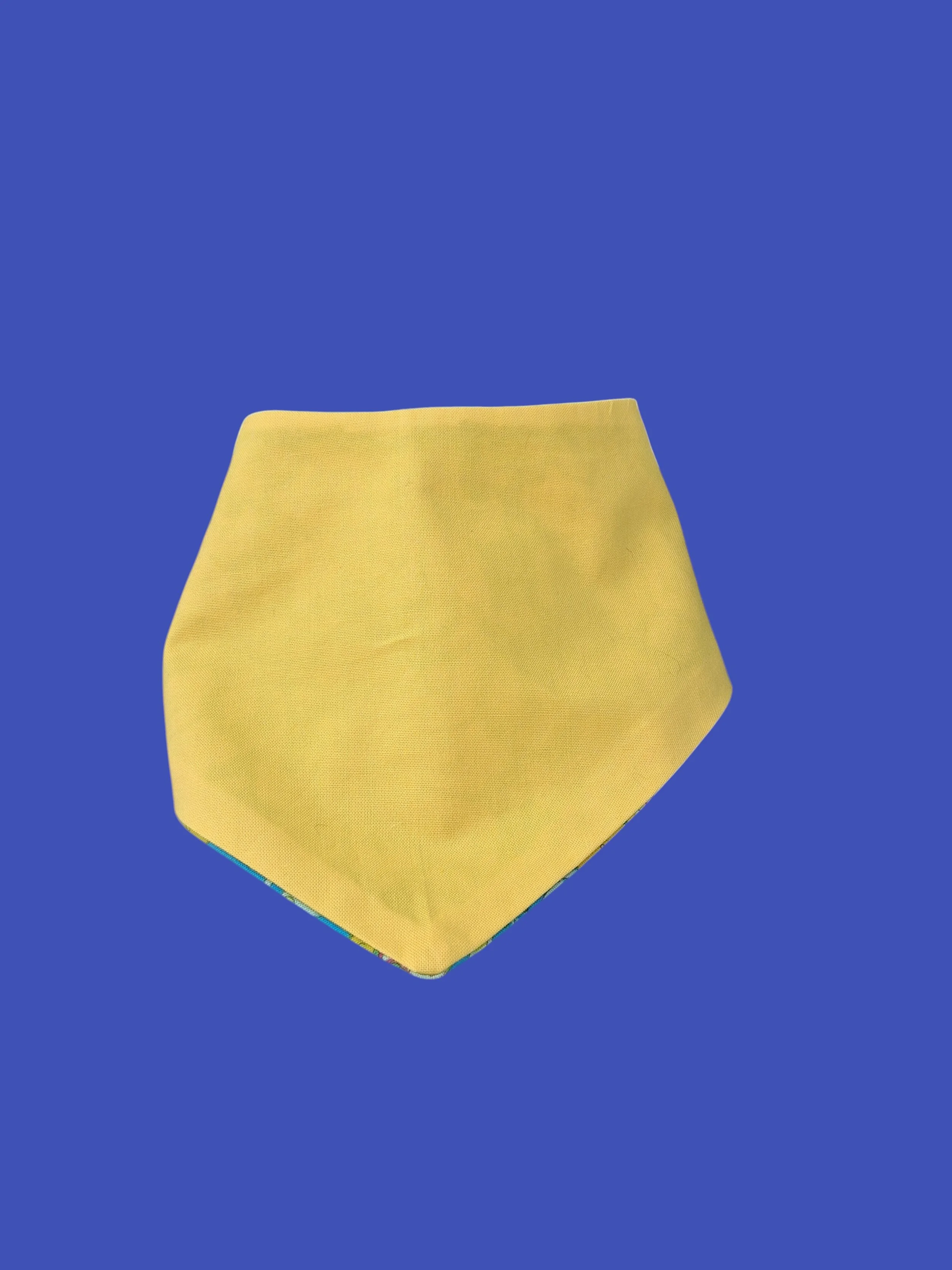 Sunkissed Flowers Back-Photoroom.jpg