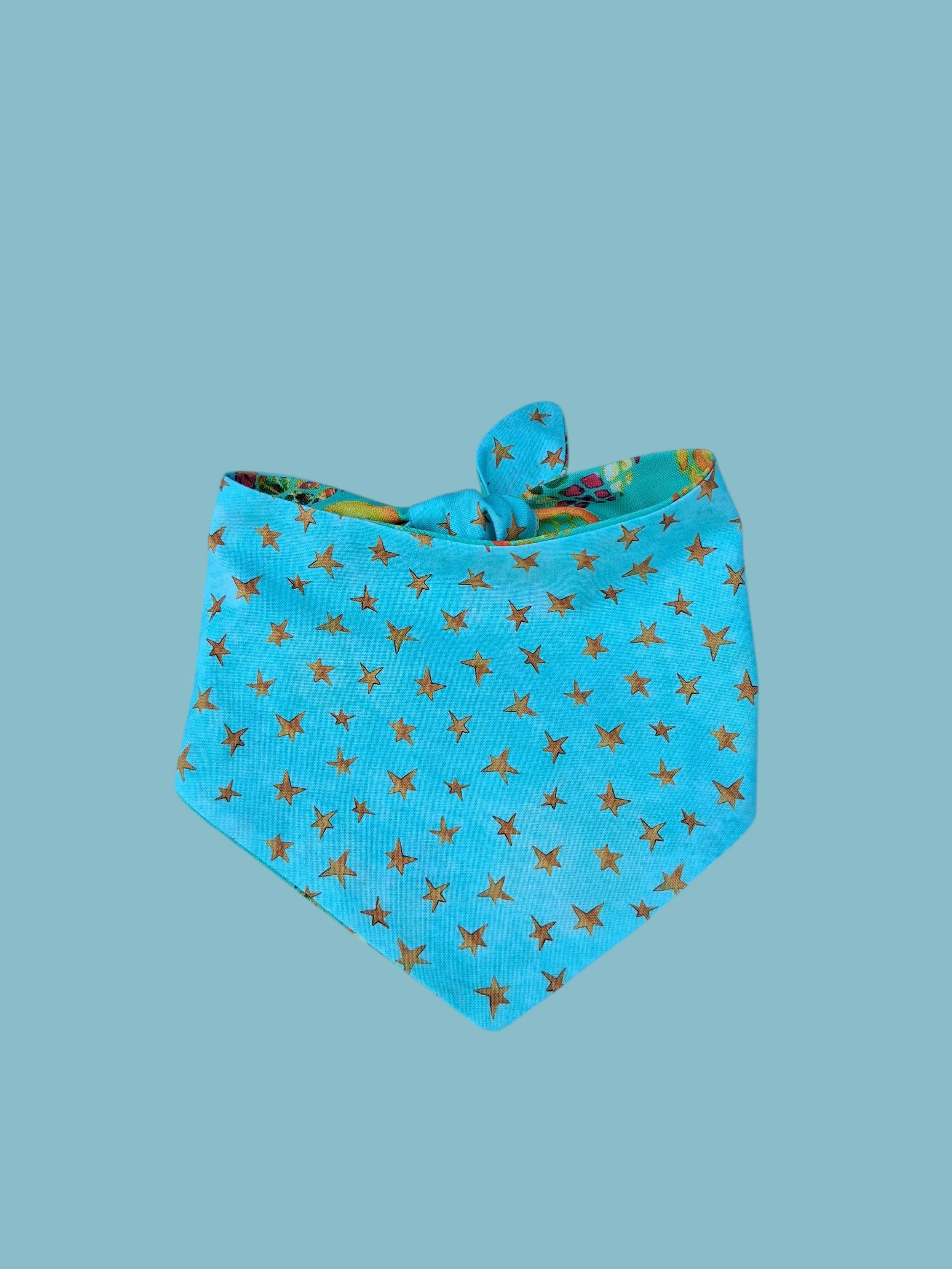 Pineapple Stars back.jpg