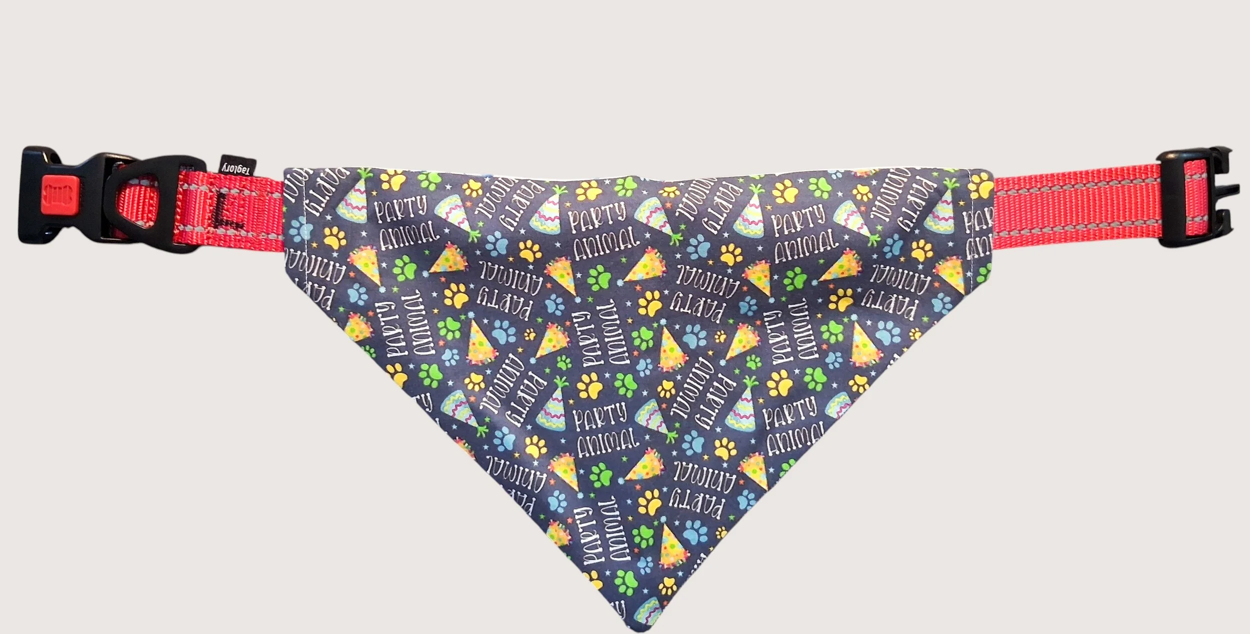 Party Animal  Collar.jpg