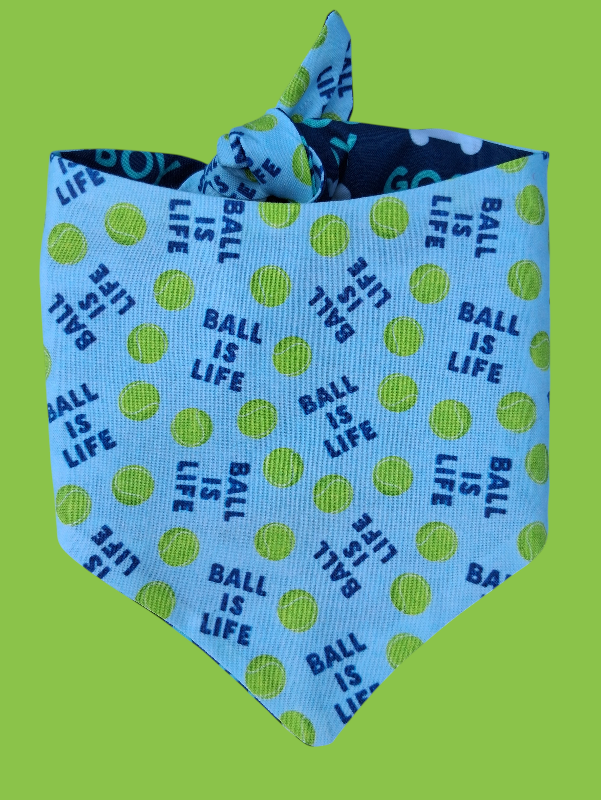 Back 1-Photoroom.png