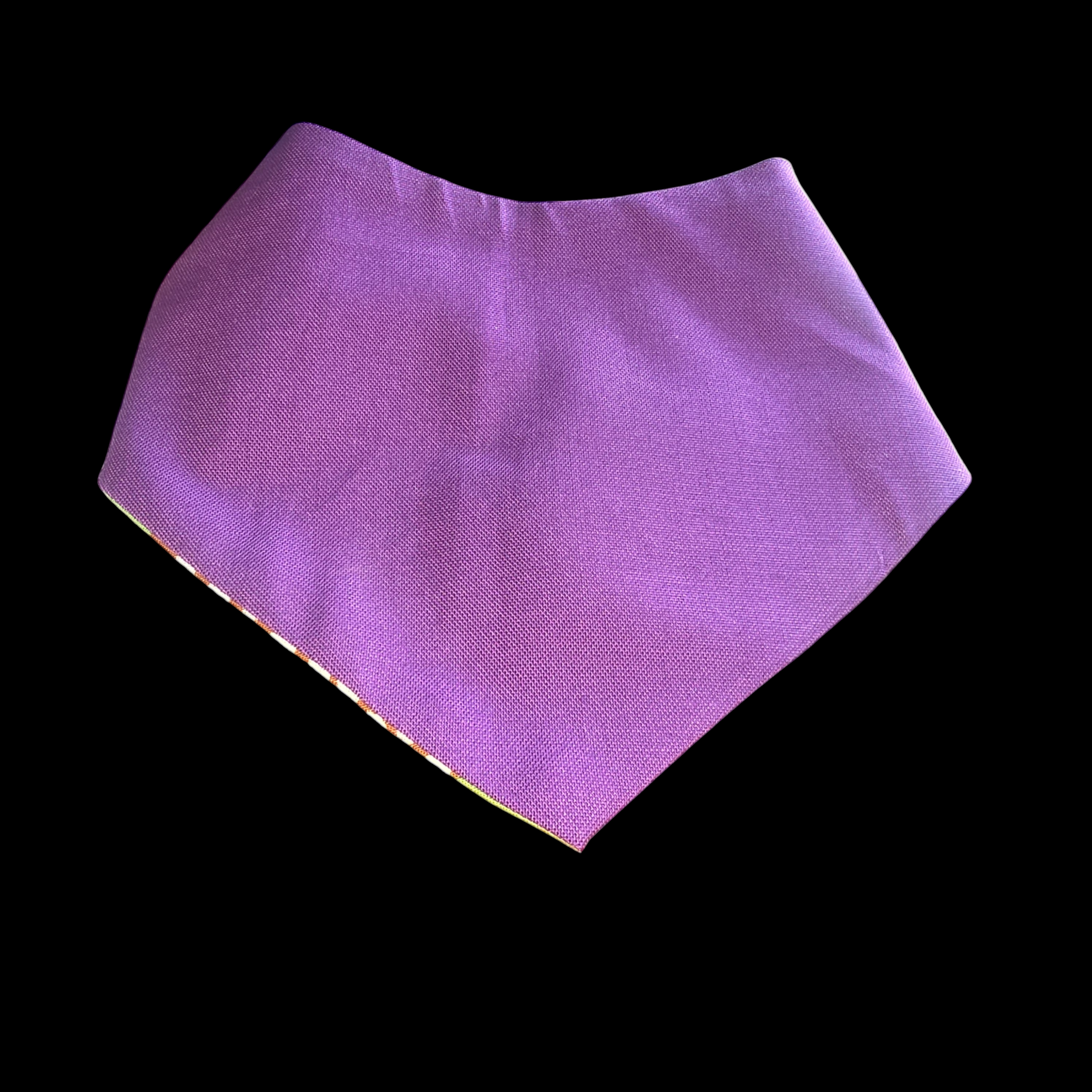 Circles Back-Photoroom.png