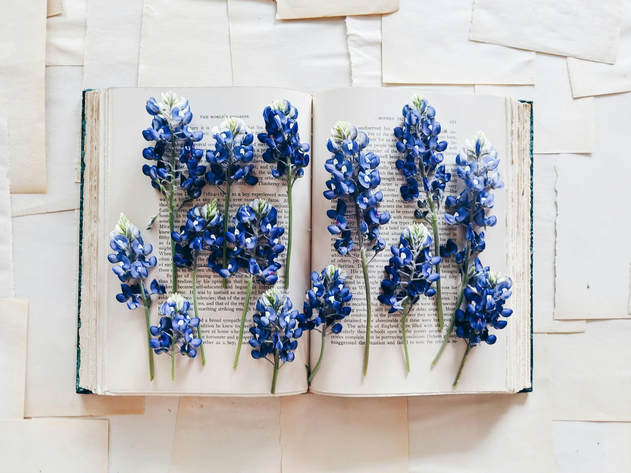 Open book with text and blue flowers laid on its pages, placed on a textured white surface with blank paper pieces around.