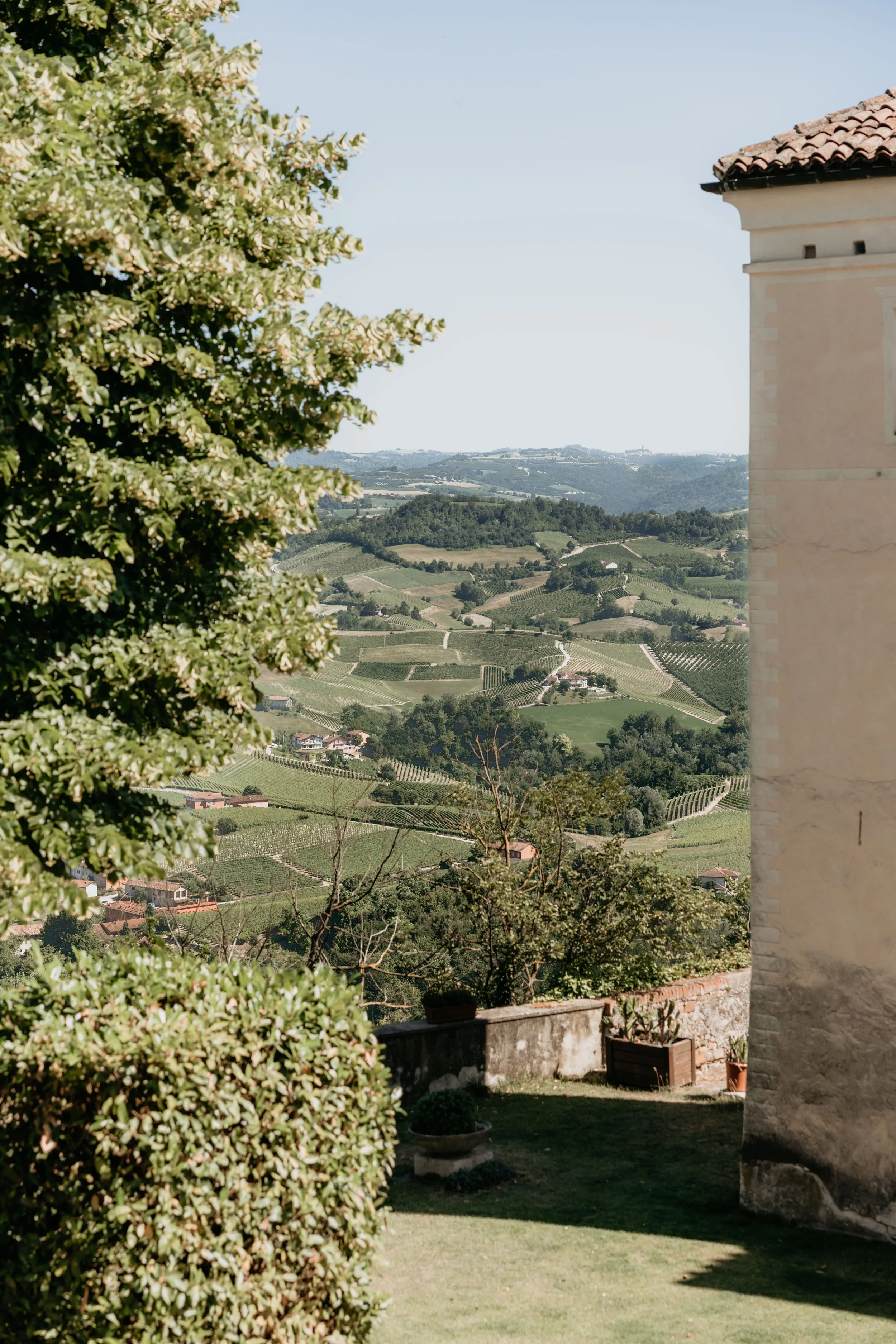 Nascetta-venerdì-14.jpg