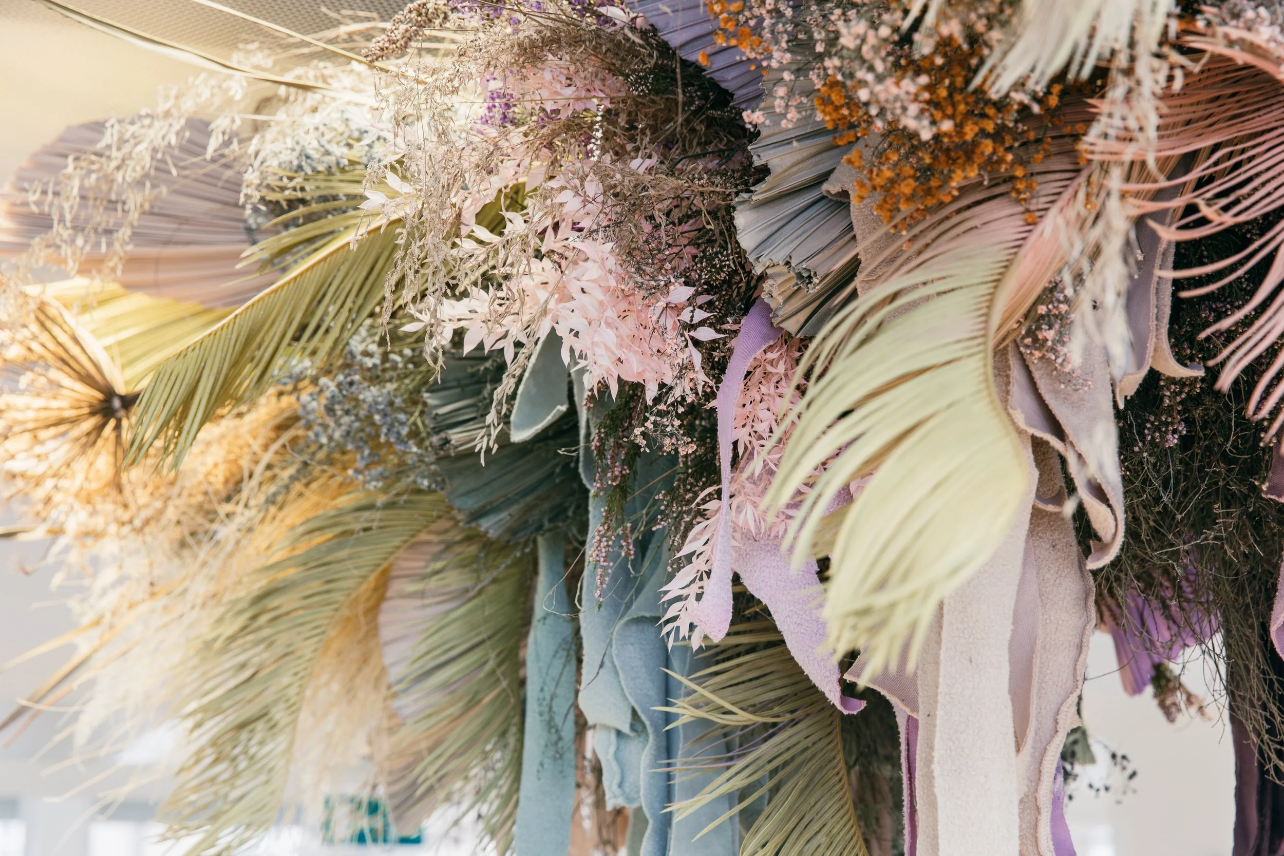 PANGAIA - [ IMG_6612 ].jpg