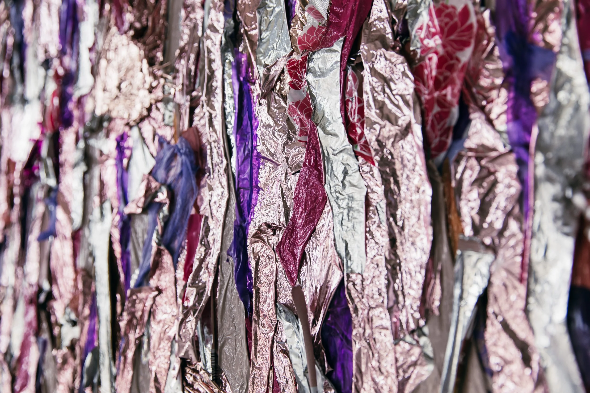 Plastic Free July - Tom Joy [ IMG_1296 ].jpg