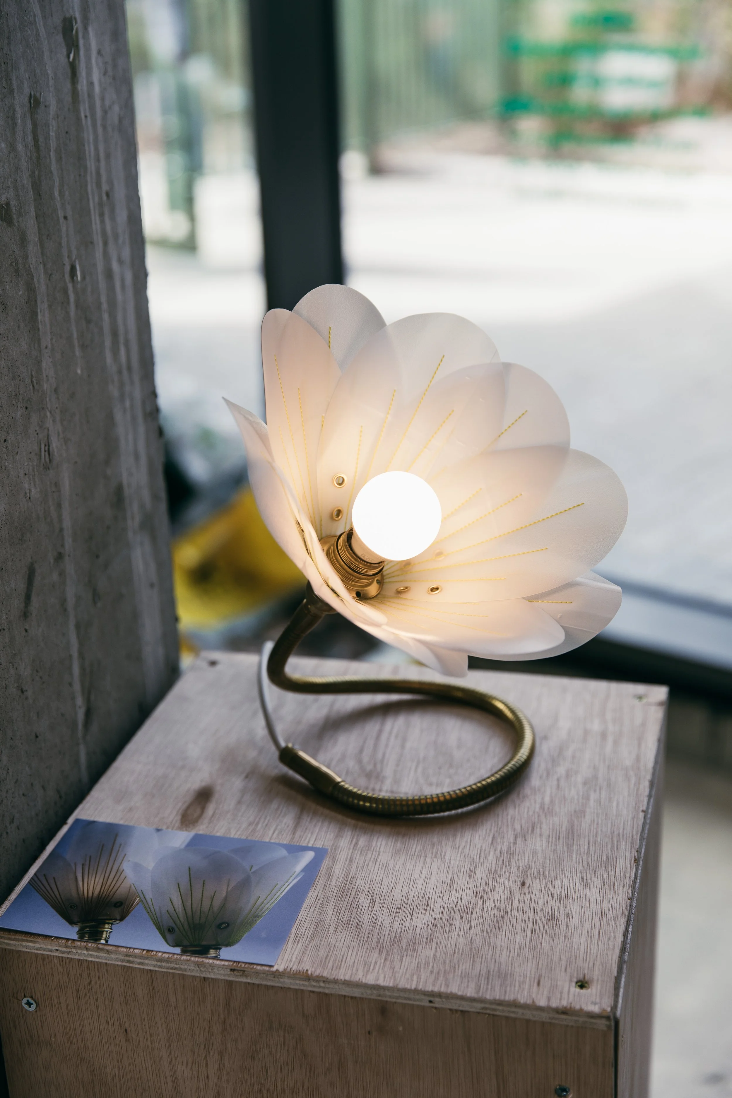 Plastic Free July - Tom Joy [ IMG_1300 ].jpg