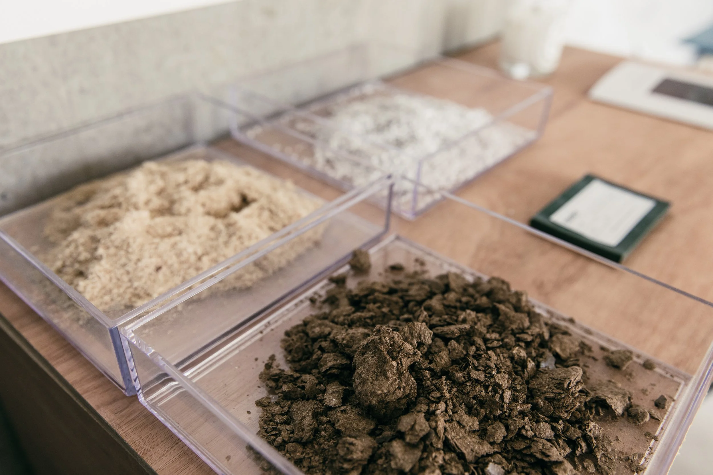 Plastic Free July - Tom Joy [ IMG_1242 ].jpg