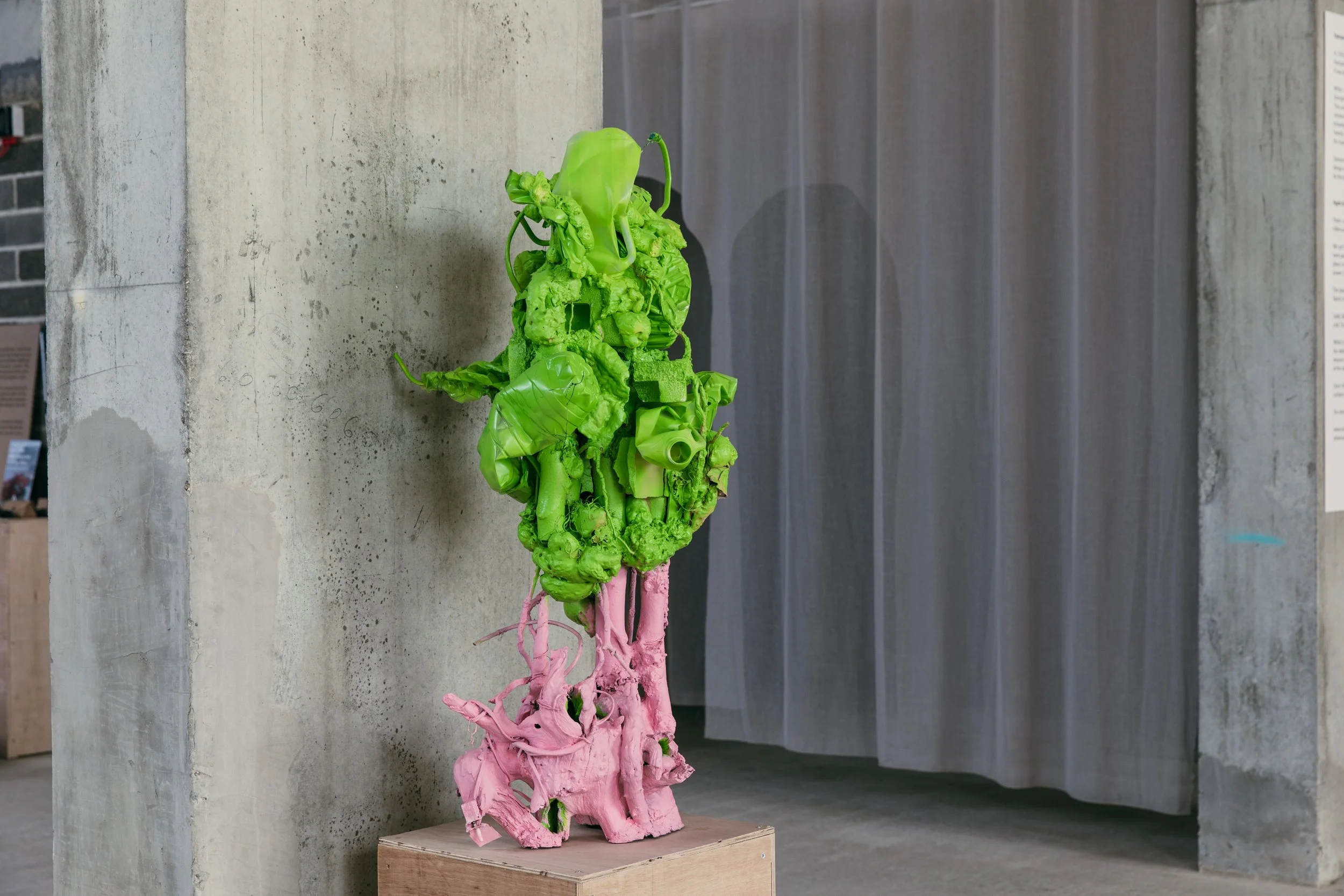 Plastic Free July - Tom Joy [ IMG_1264 ].jpg