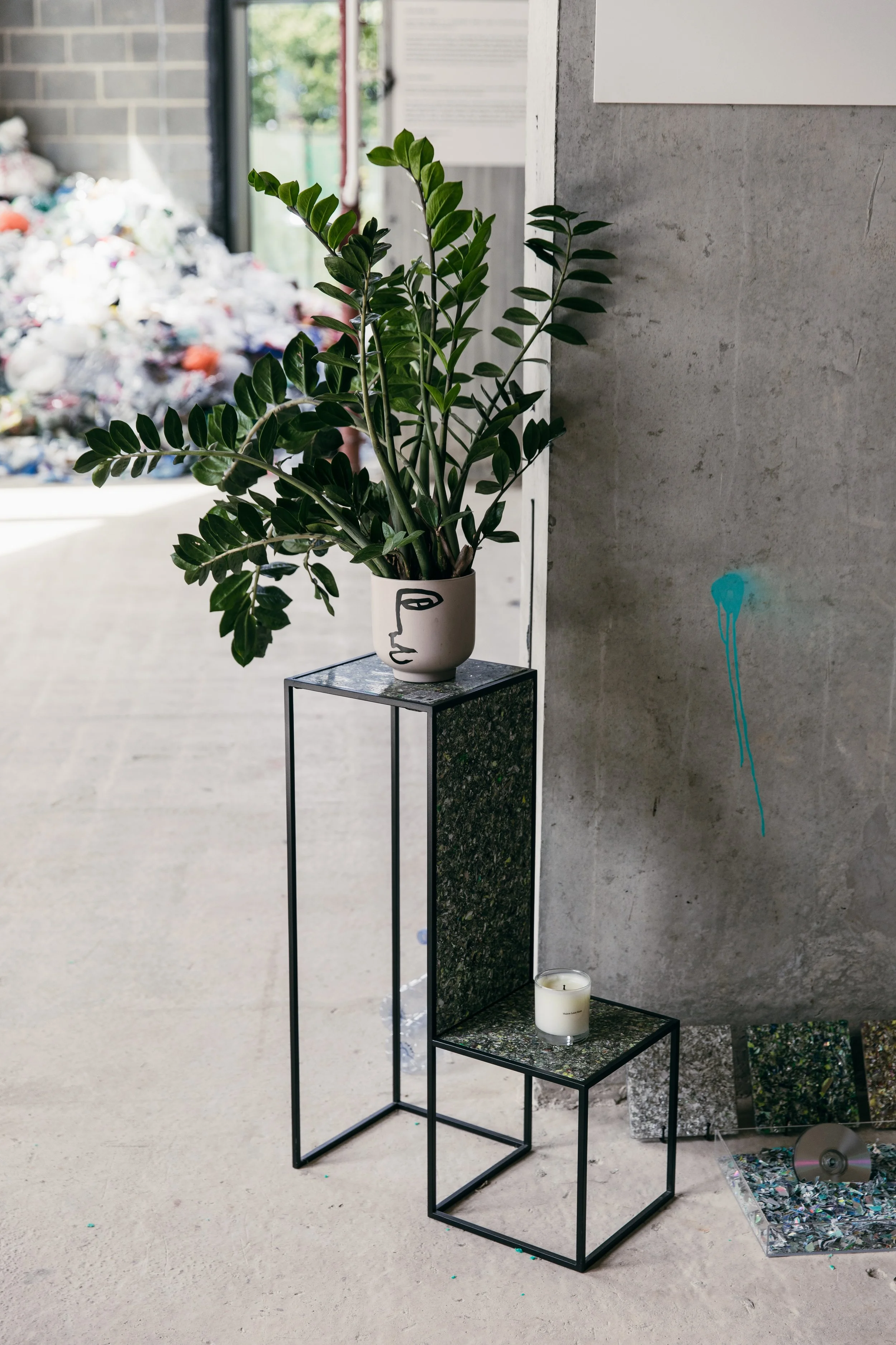 Plastic Free July - Tom Joy [ IMG_1285 ].jpg