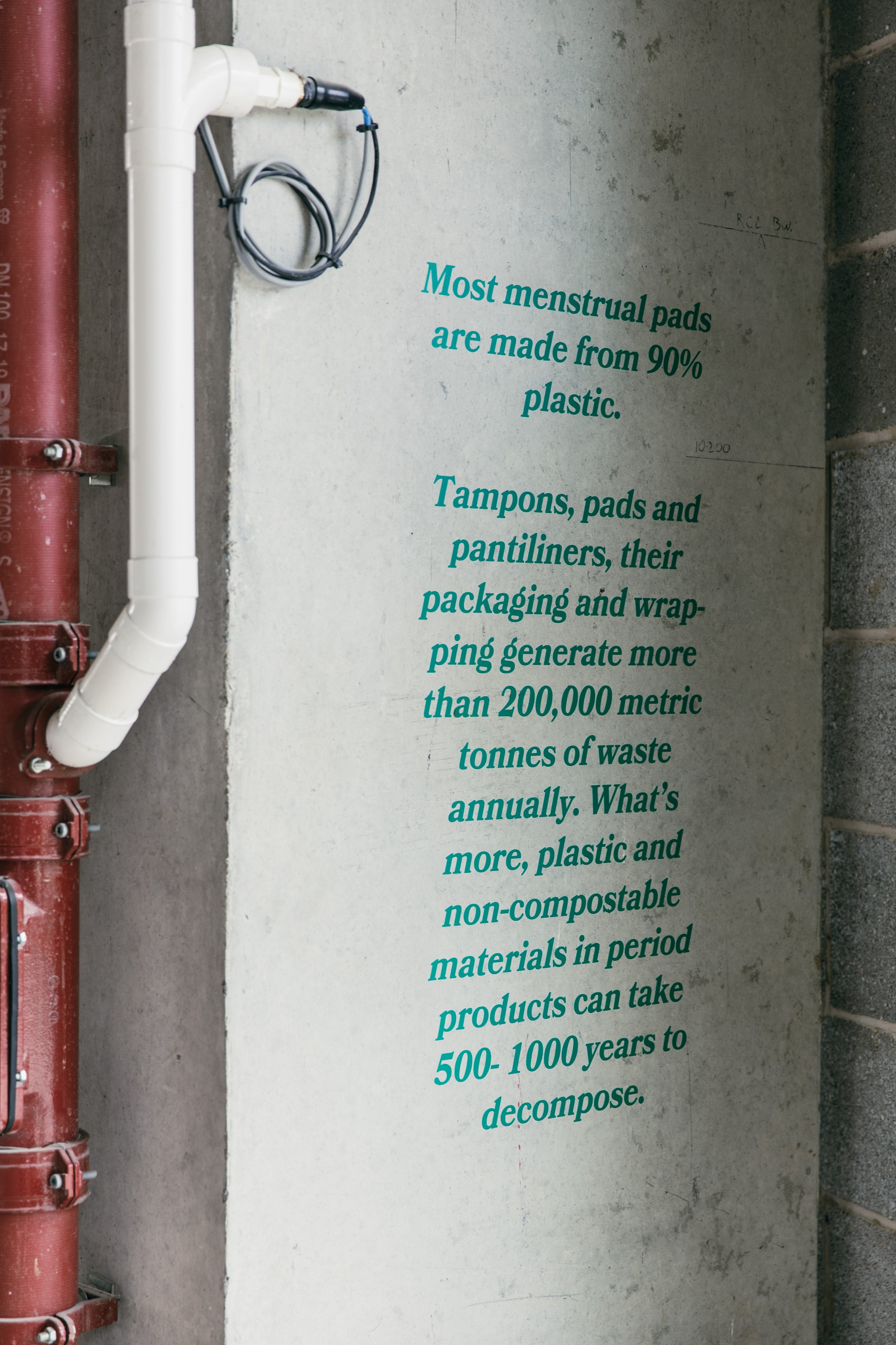 Plastic Free July - Tom Joy [ IMG_1229 ].jpg