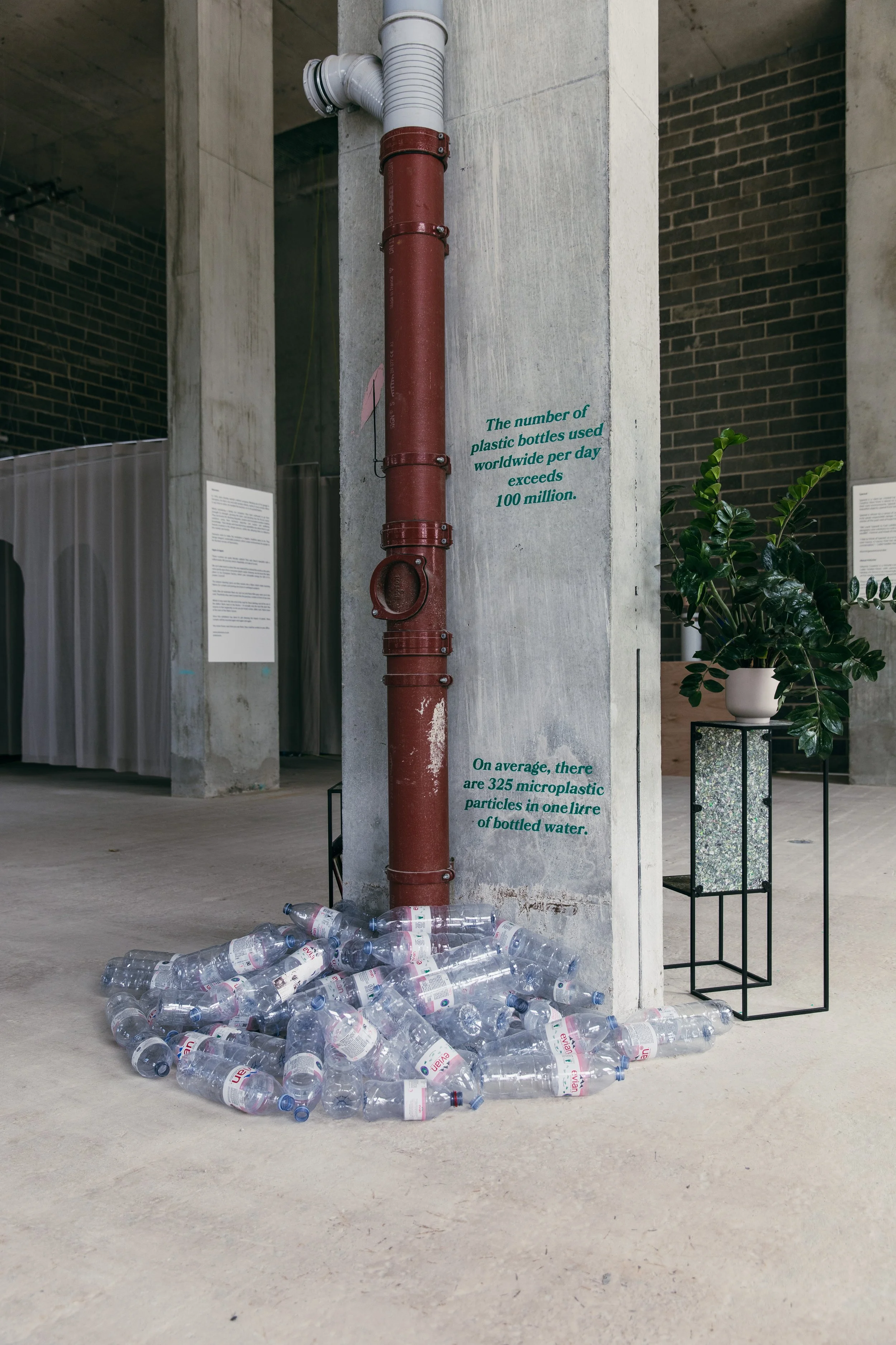 Plastic Free July - Tom Joy [ IMG_1292 ].jpg