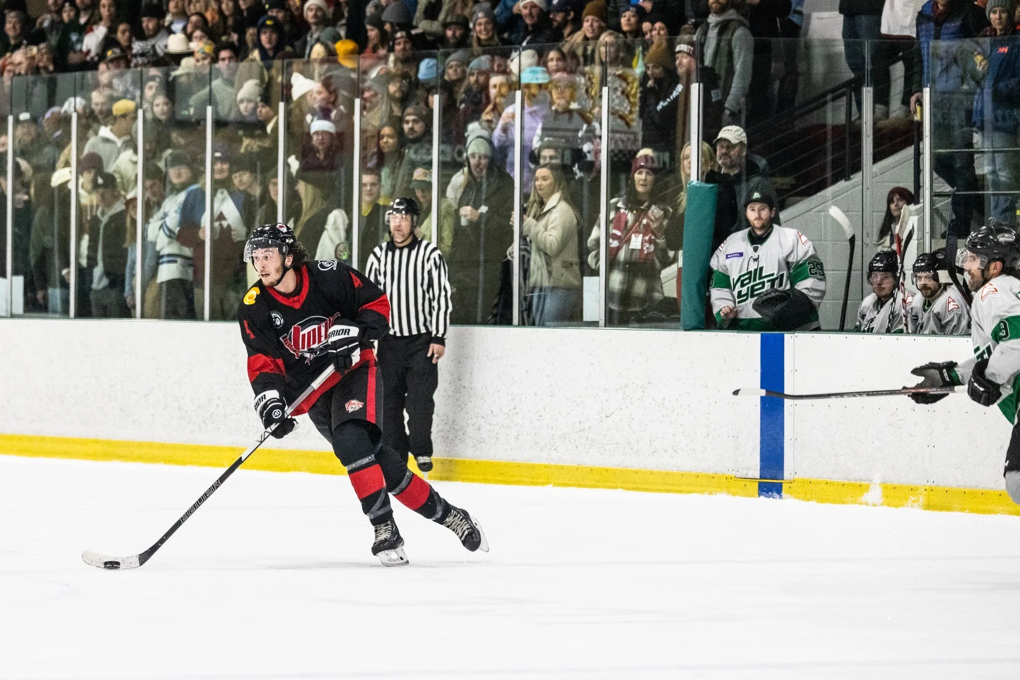 A hockey player in a black and red jersey skating on the ice with spectators watching behind the glass, and a referee standing nearby. Other players are seated on the bench in the background.