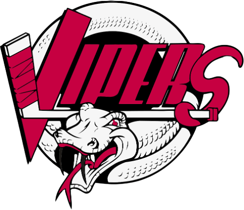 Vancouver Canucks logo featuring a stylized orca whale with a hockey stick and a Vancouver Vancouver Lions text.