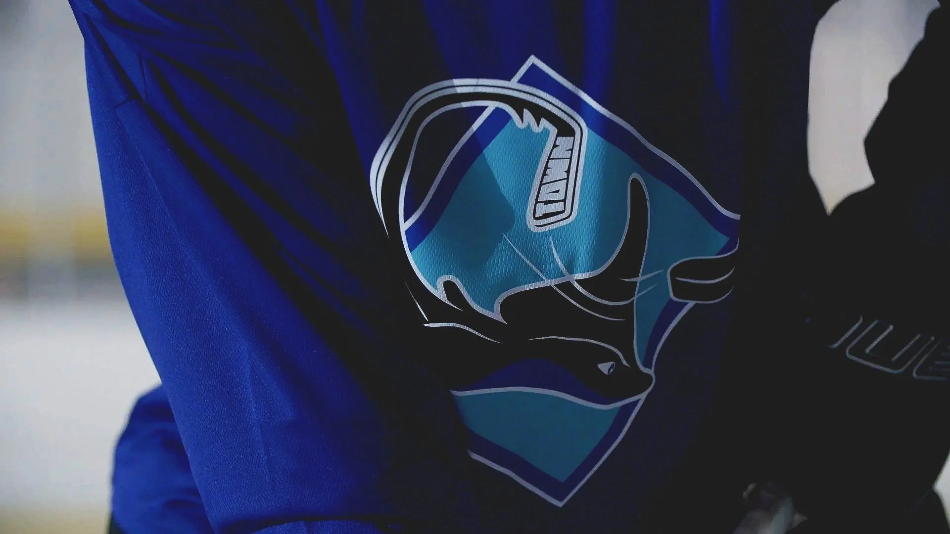 Close-up of a person wearing a blue jacket with a logo of a fish and a mask on it.