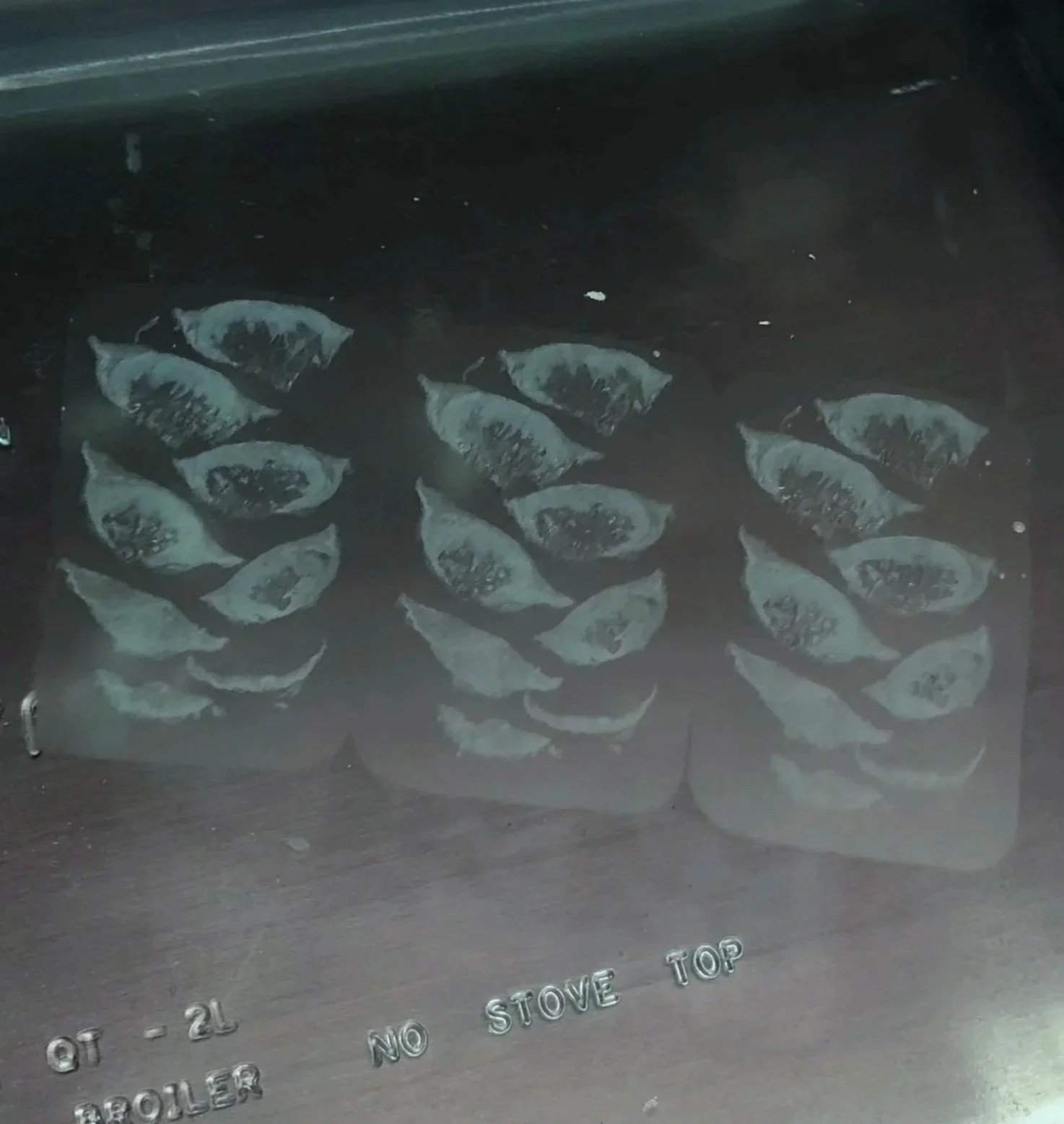 Nicely embedded and sectioned wafers of a cutaneous horn in a flotation bath.