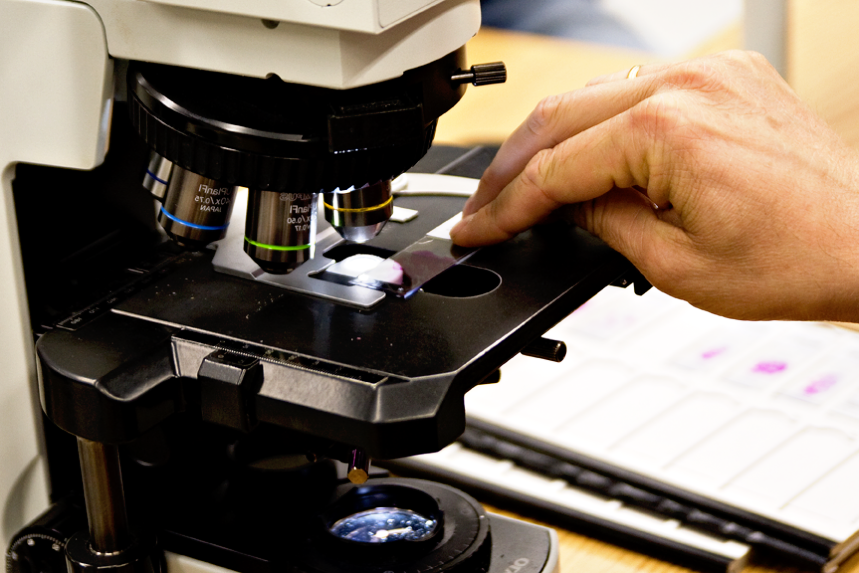 A person using a microscope to examine a slide in a laboratory.