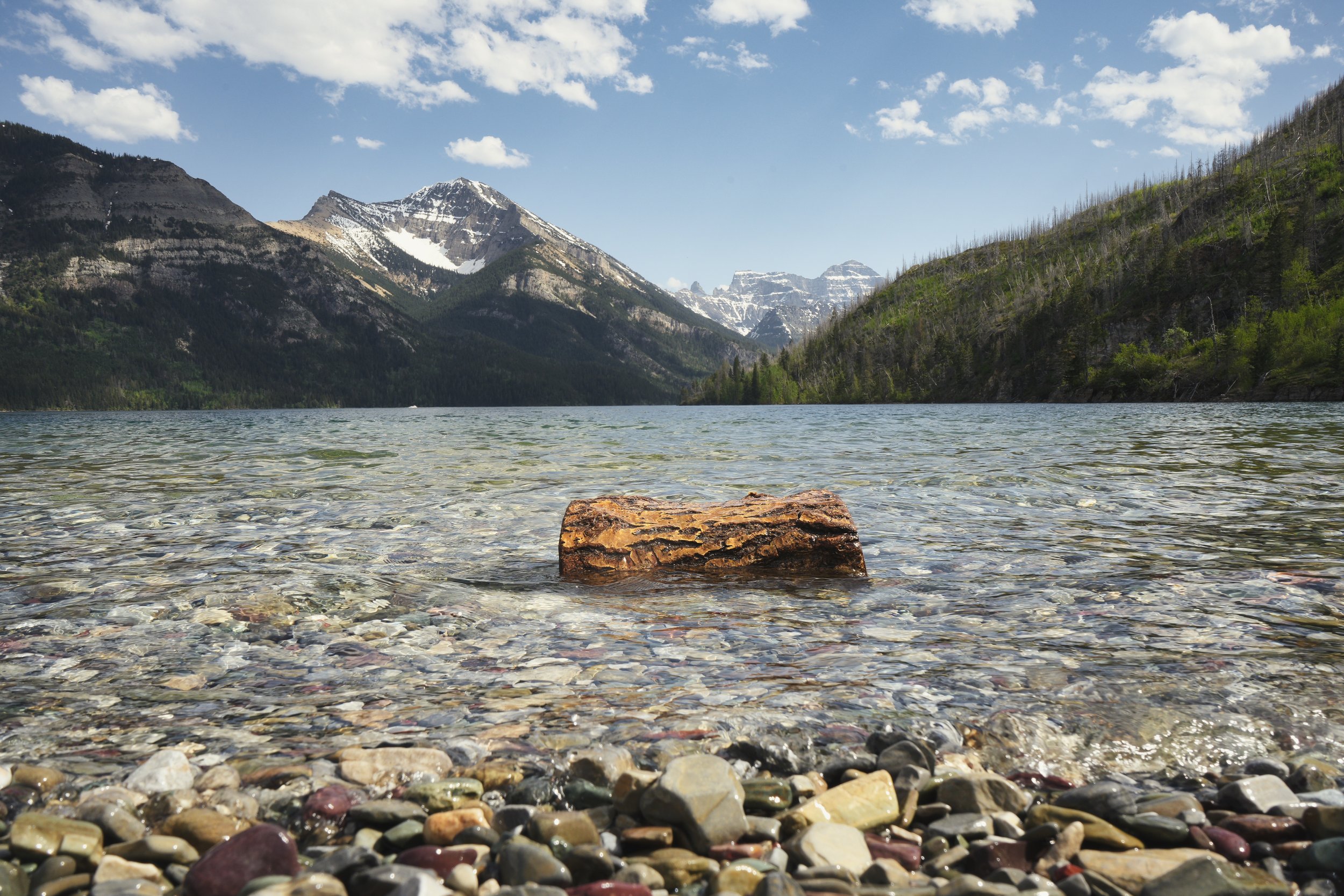 watertonlog.jpeg