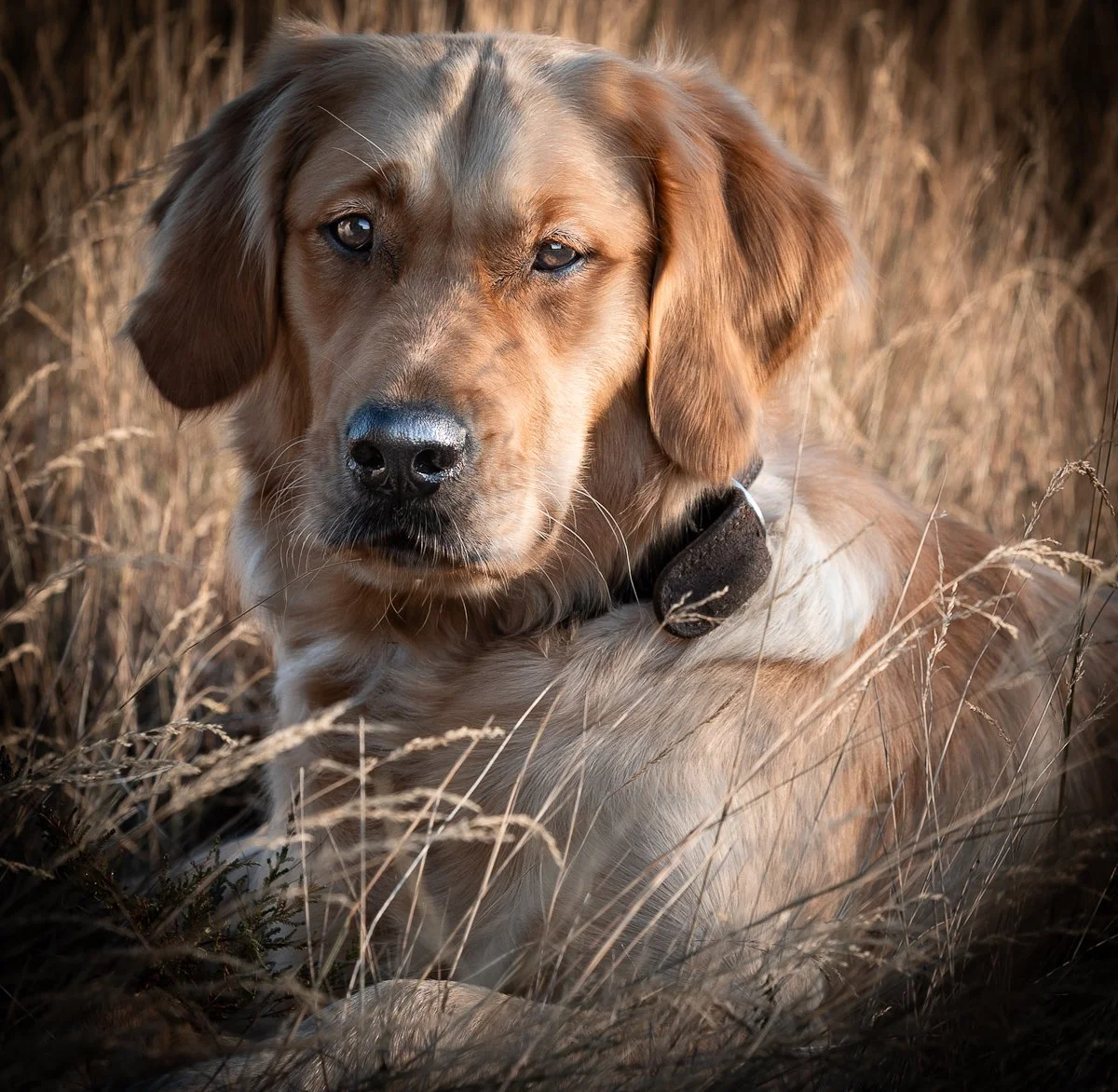 Bilder shootingpakete-2.jpg