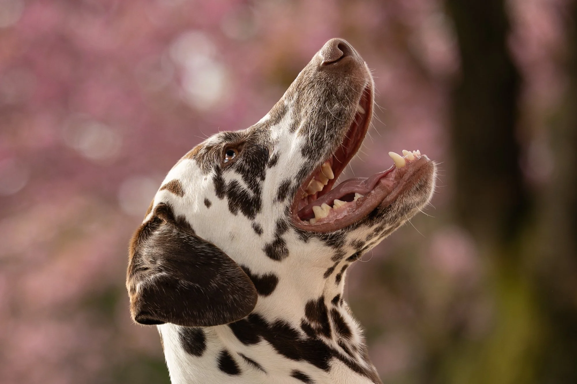 landingpage slideshow final bilder 13.04.-09.jpg