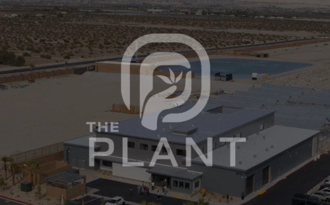 "The Plant" Website