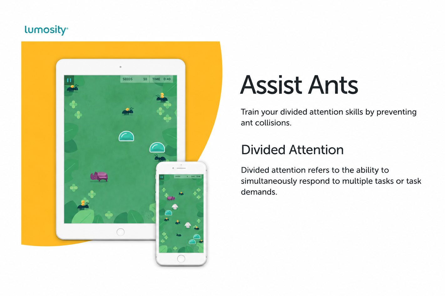 Naming_AssistAnts_proportioned.png