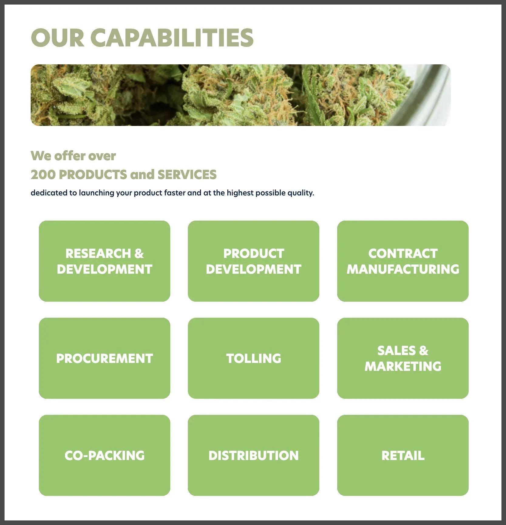 ThePlant_capabilities.webp