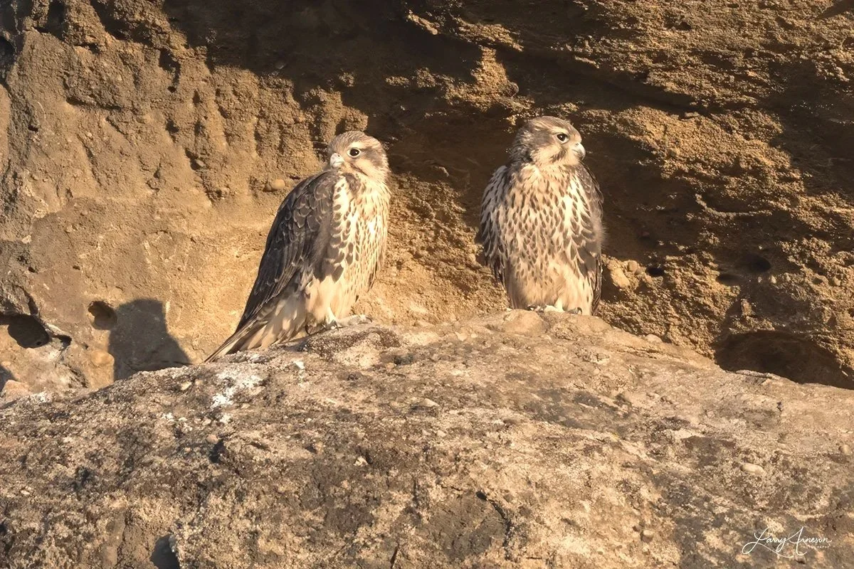 _DSC5828_web