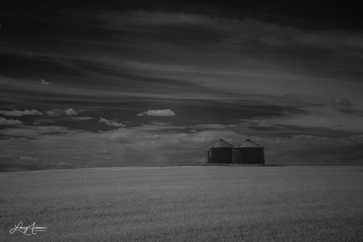Infrared B&W Grain Storage