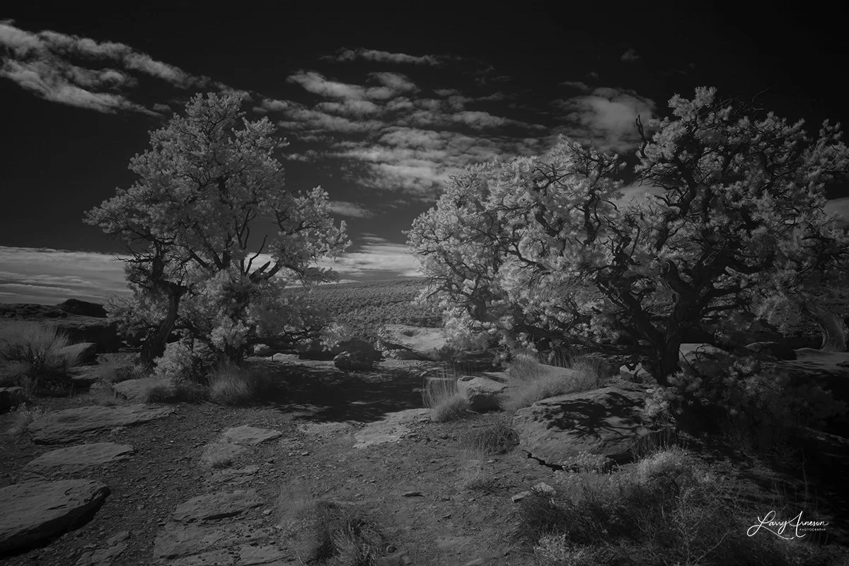 Capital Reef National Park